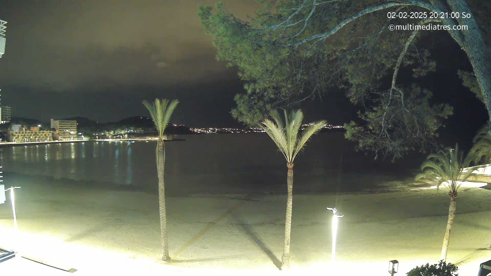 A nighttime view of a sandy beach, palm trees, and calm water, with a town illuminated across the bay under a partly cloudy sky.