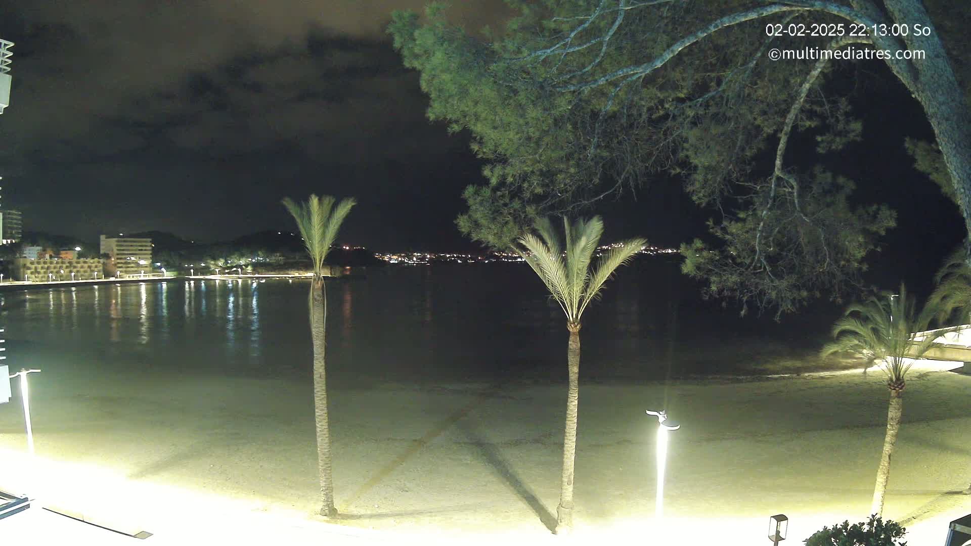A nighttime view of a calm, lit beach with three palm trees in the foreground, and a town's lights across the water under a cloudy sky.