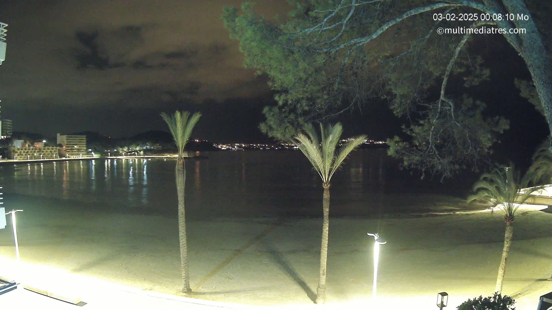 A nighttime view of a calm, dark-water bay, a sandy beach, palm trees, and buildings illuminated by lights across the water under a partly cloudy sky.