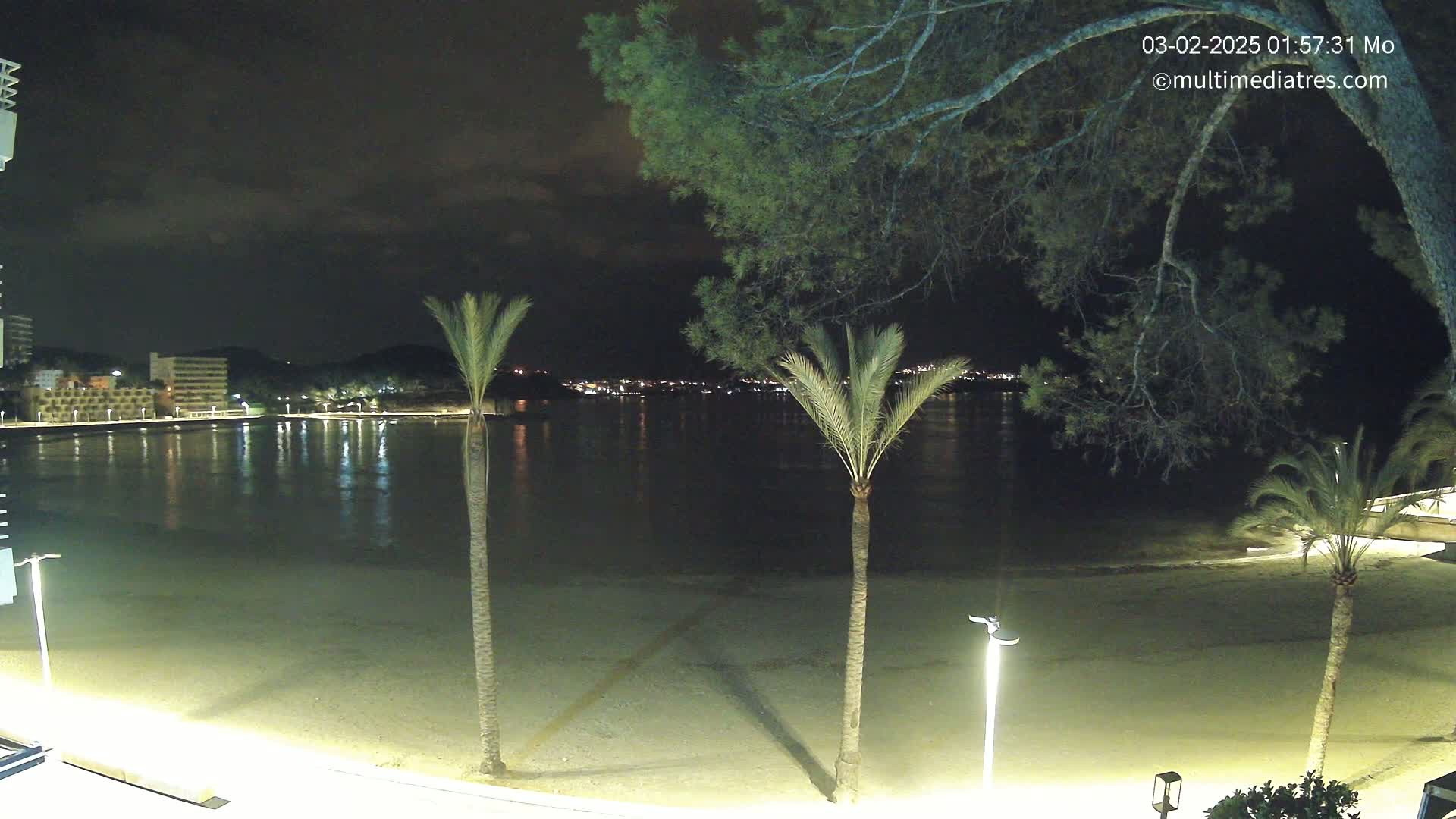 A nighttime view of a calm, lit beachfront with palm trees and buildings across the water under a partly cloudy sky.