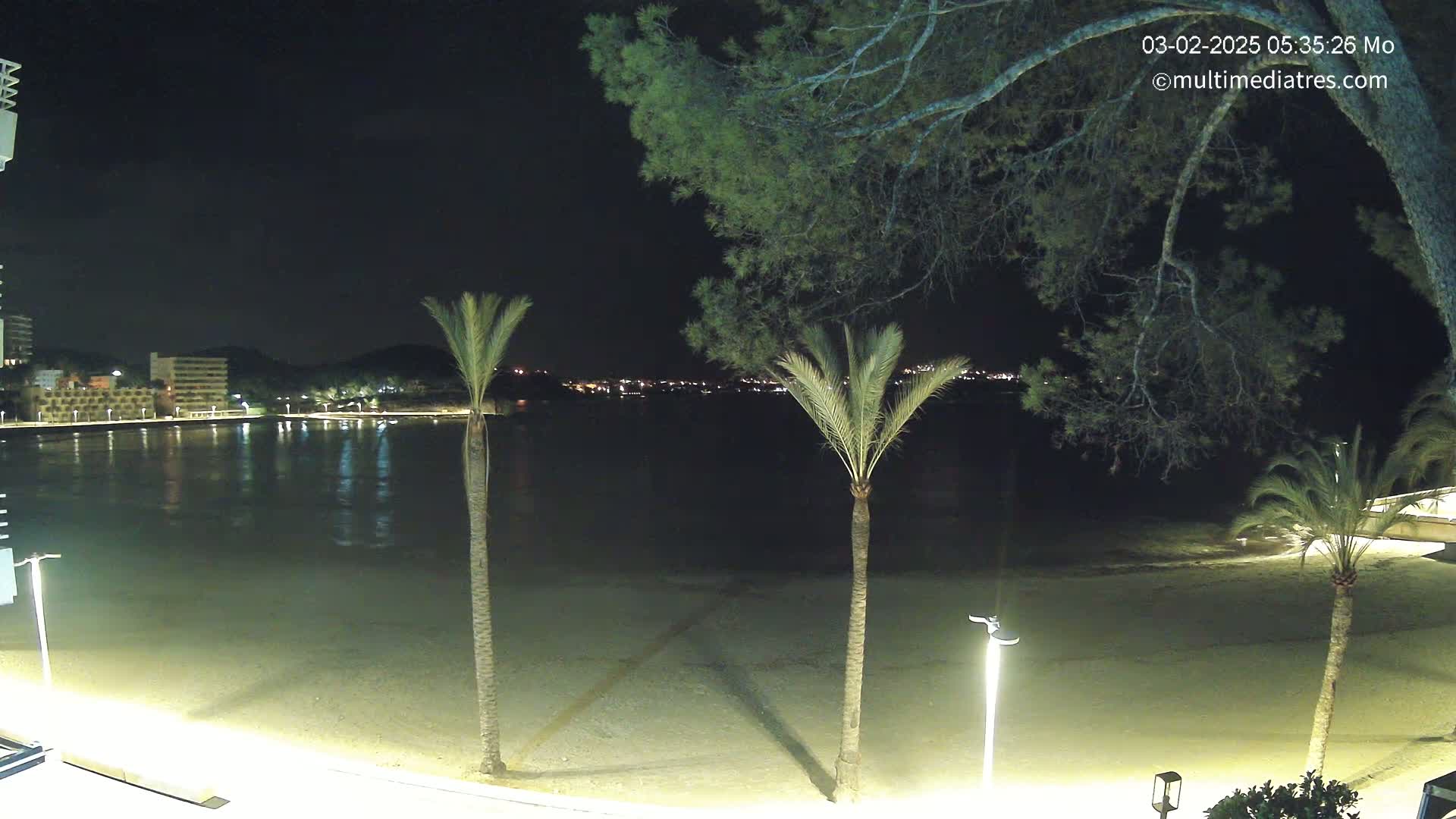 A nighttime view of a calm beach with palm trees, illuminated buildings across the water, and a dark sky.