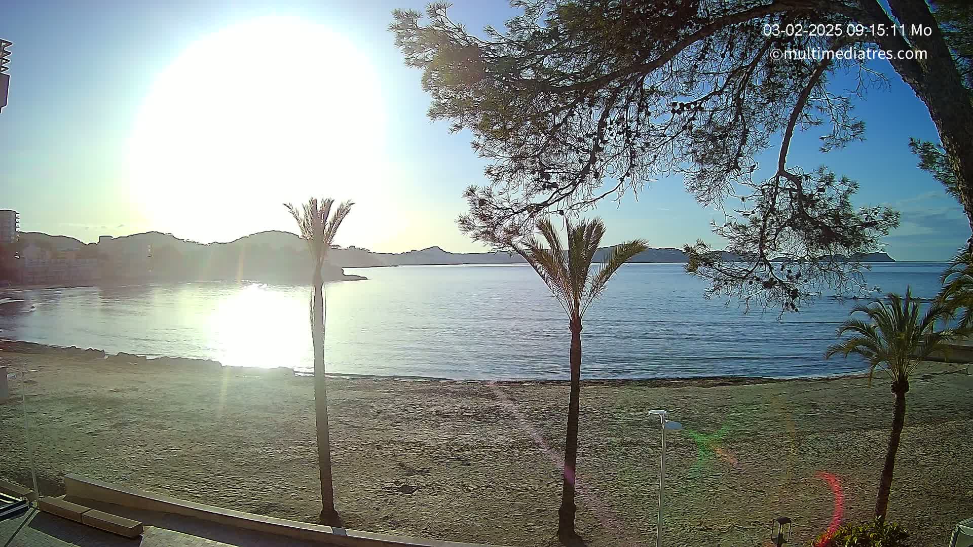 A sandy beach with palm trees and a calm, sunlit sea stretches out under a mostly clear sky, backed by distant hills and buildings.