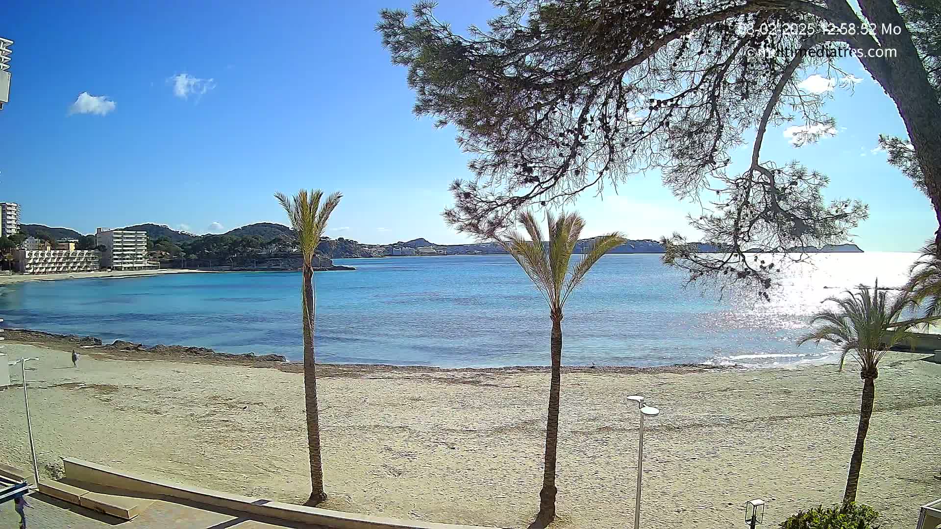 A sandy beach with calm, turquoise water is seen under a clear, sunny sky, framed by palm trees and a pine tree, with buildings visible in the distance.