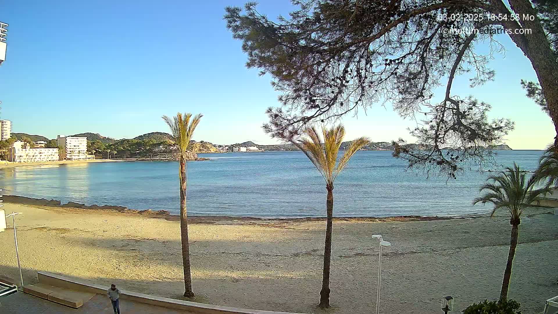 A sandy beach with calm, blue water and palm trees in the foreground, under a clear blue sky.
