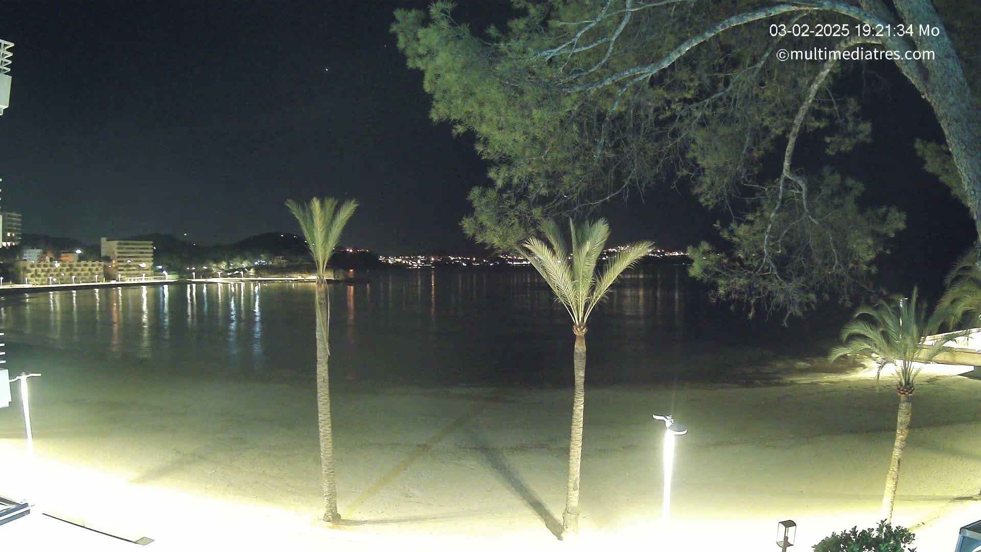 A nighttime view of a calm, illuminated beach with palm trees and a city skyline across the water under a clear, starry sky.