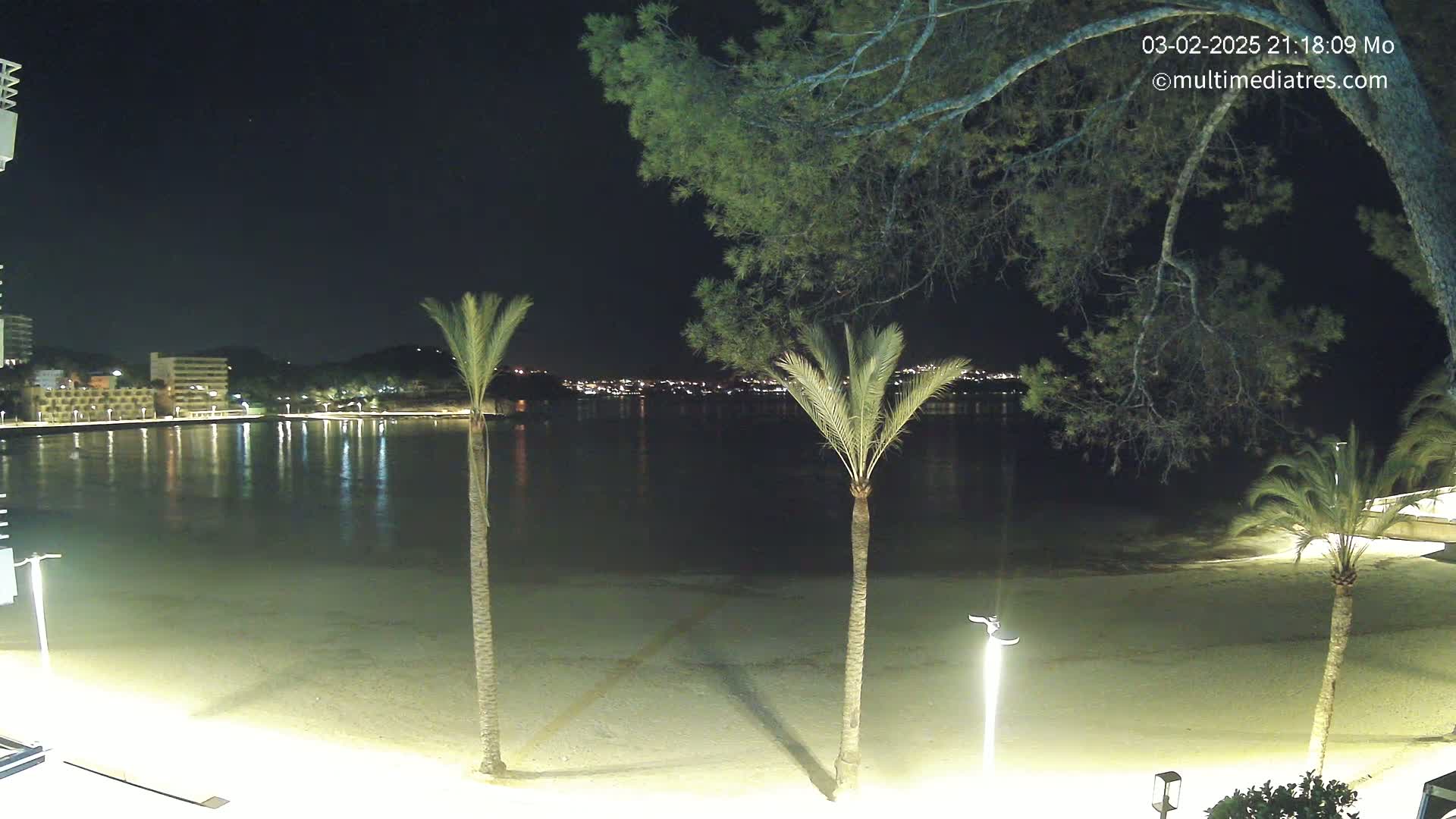 A nighttime view of a calm, sandy beach with palm trees and a city skyline illuminated across a body of water under a clear, dark sky.