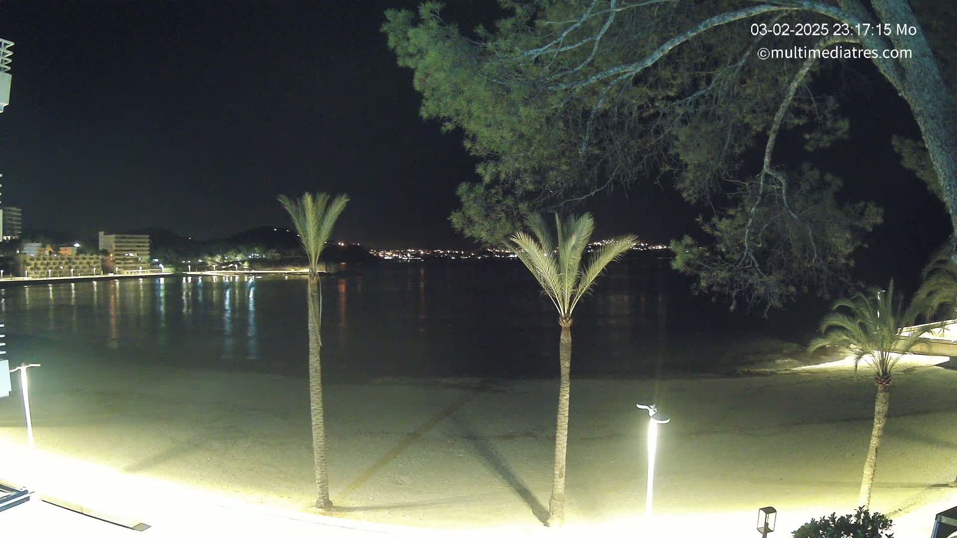 A nighttime view of a sandy beach, calm water, and palm trees, with city lights visible in the distance under a clear sky.