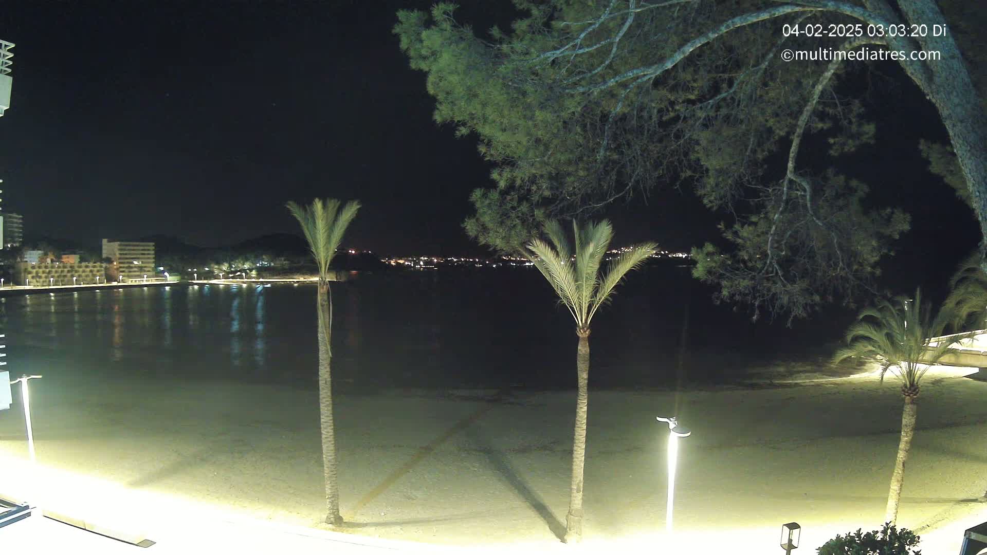 A nighttime view of a calm, sandy beach with palm trees, illuminated by streetlights, overlooking a body of water with a city's lights in the distance.