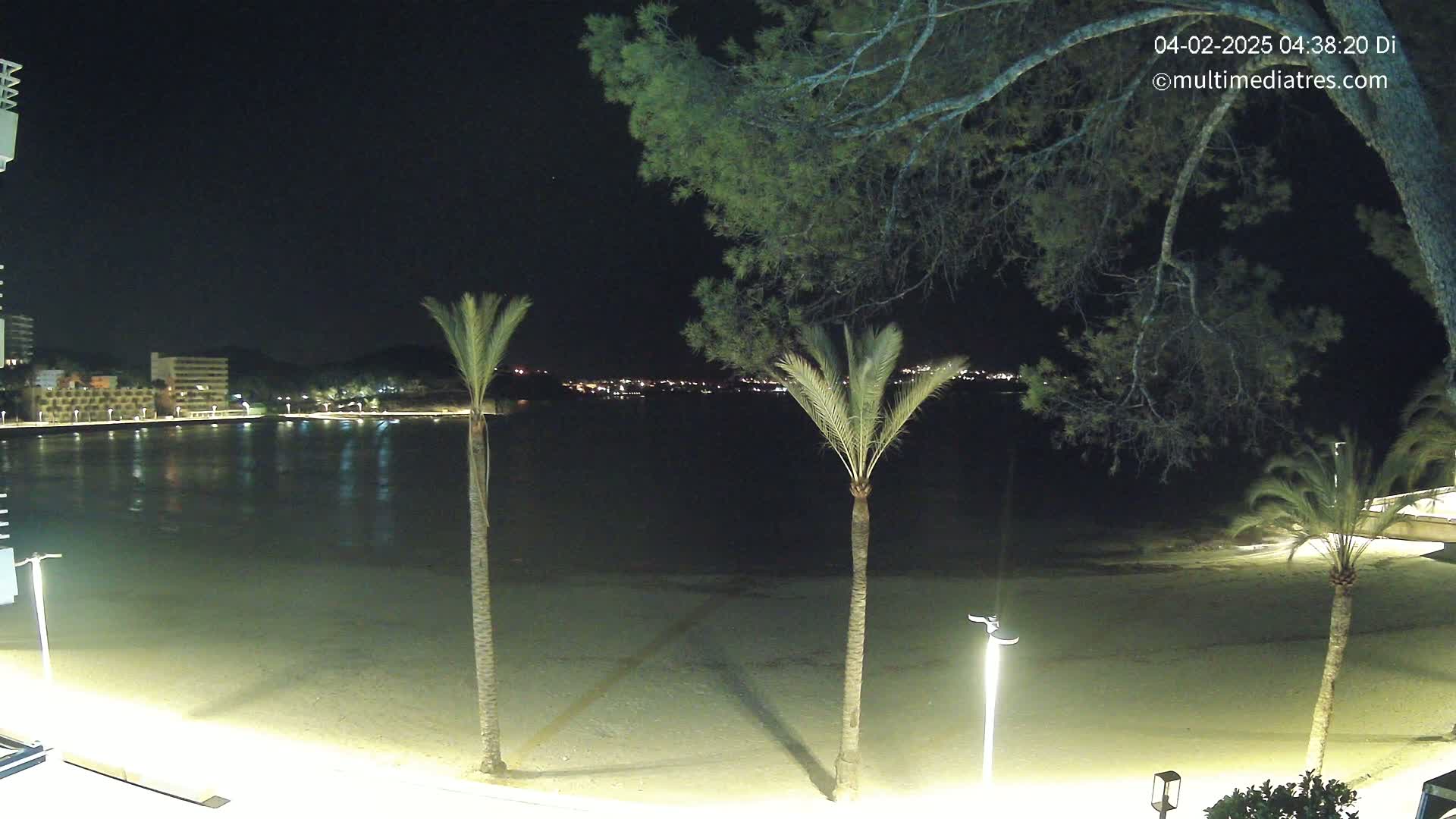 A nighttime view of a calm bay, illuminated by lights from buildings across the water and streetlights on a sandy beach lined with palm trees.