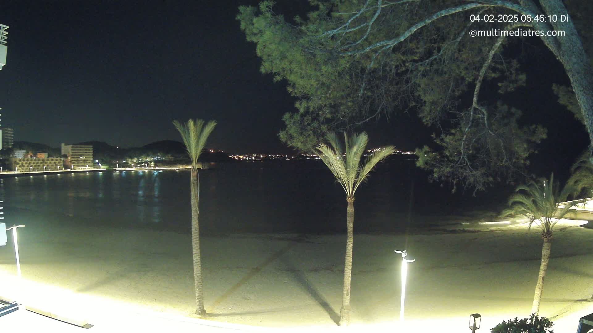 A nighttime view of a calm, sandy beach with palm trees, illuminated by streetlights, overlooking a dark body of water and a distant, faintly lit town under a clear sky.