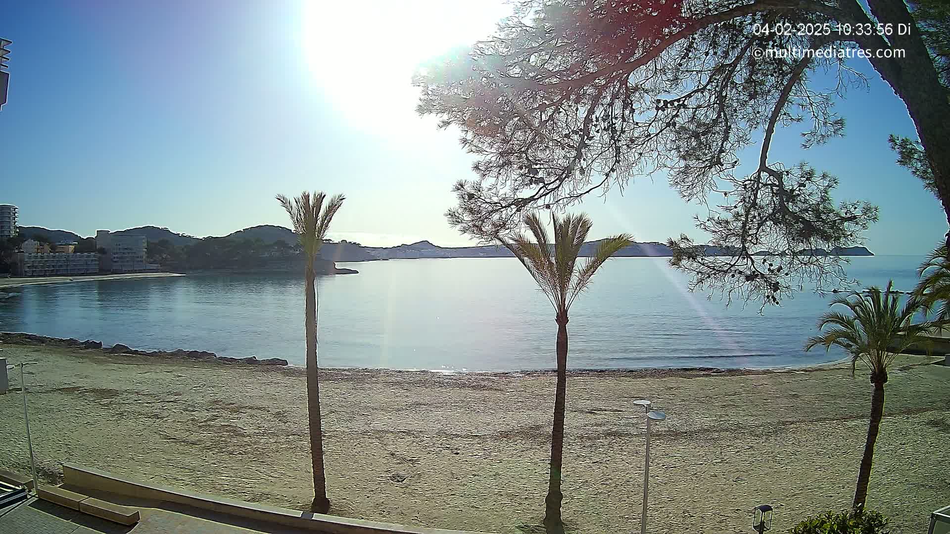A sandy beach, framed by palm trees and pine branches, stretches along a calm, sunlit bay, with buildings and hills visible in the distance.