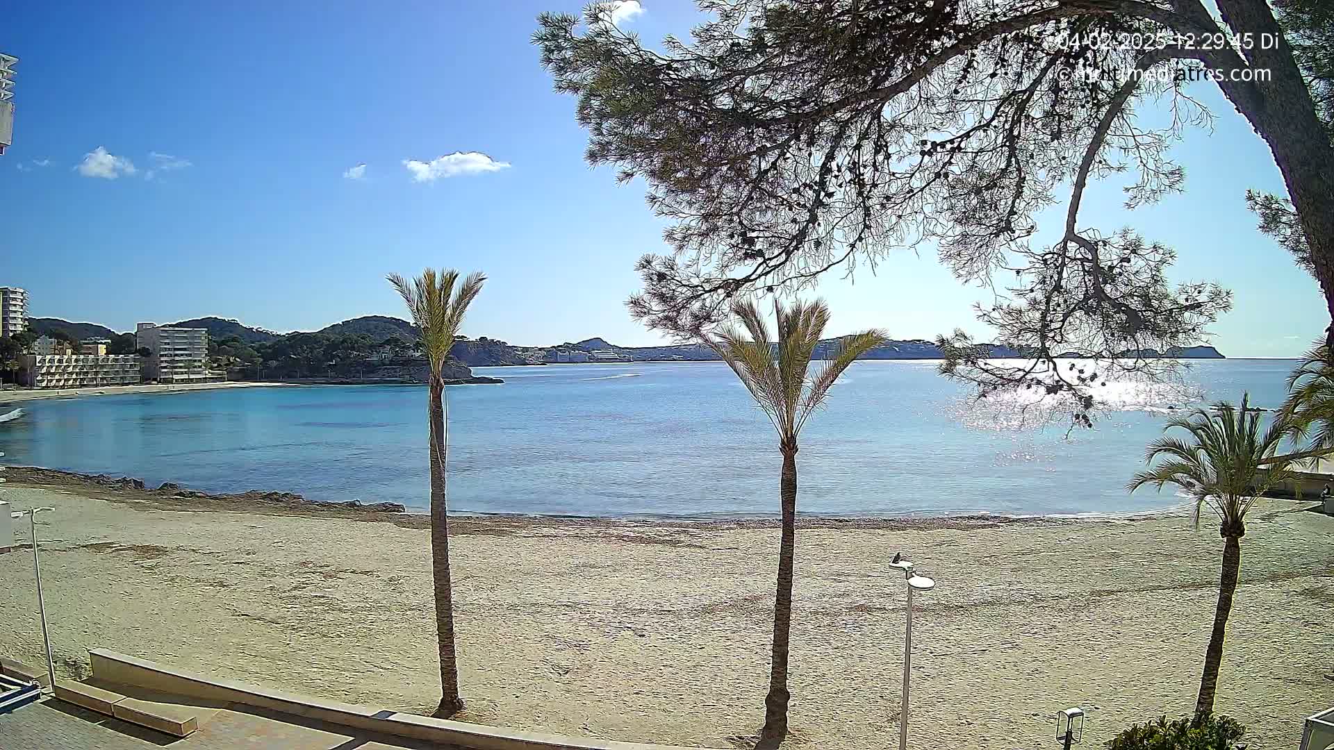 A sandy beach with palm trees and calm turquoise water, under a sunny sky with a few clouds, overlooks a bay with buildings and hills in the distance.
