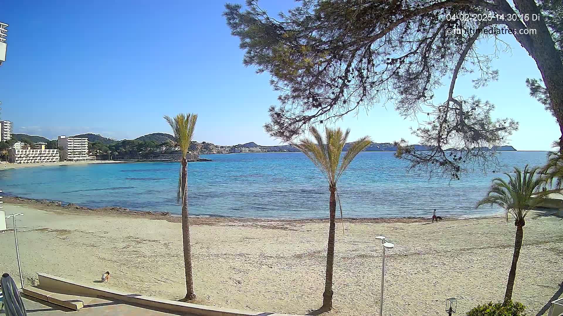 A sandy beach with calm, clear turquoise water, palm trees, and buildings in the background on a sunny day.