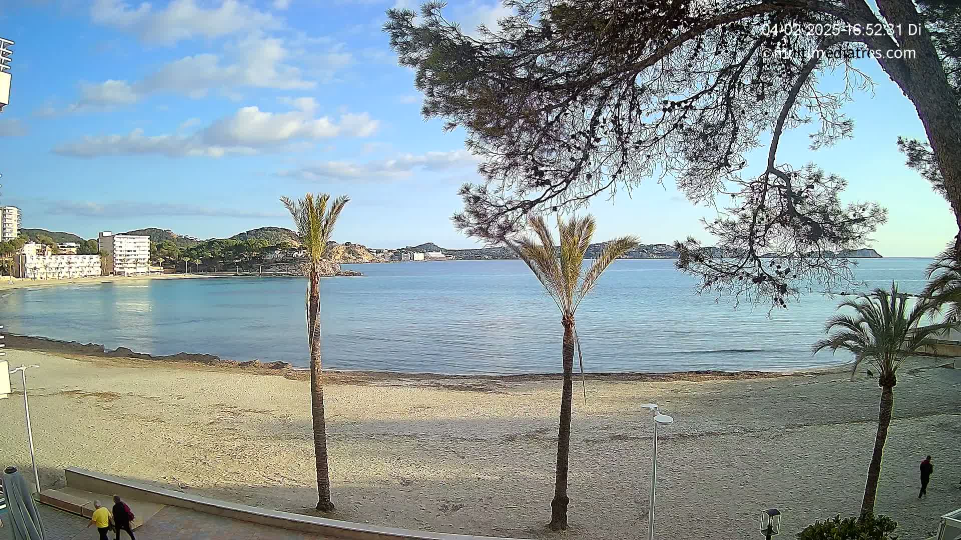 A mostly sunny day shows a sandy beach, calm blue water, palm trees, and buildings in the distance.