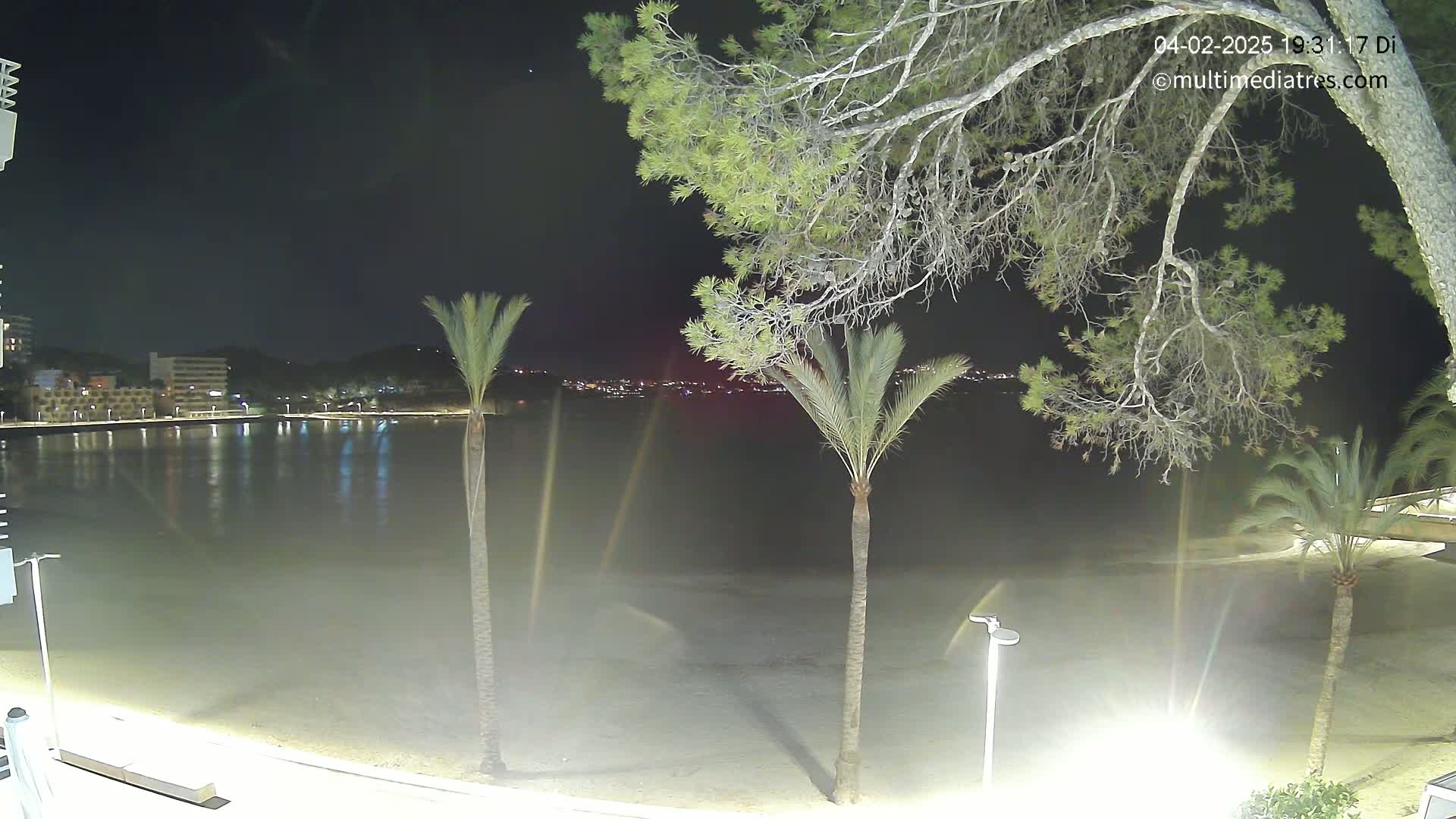 A nighttime view of a calm, sandy beach with palm trees and a distant cityscape illuminated under a clear, dark sky.