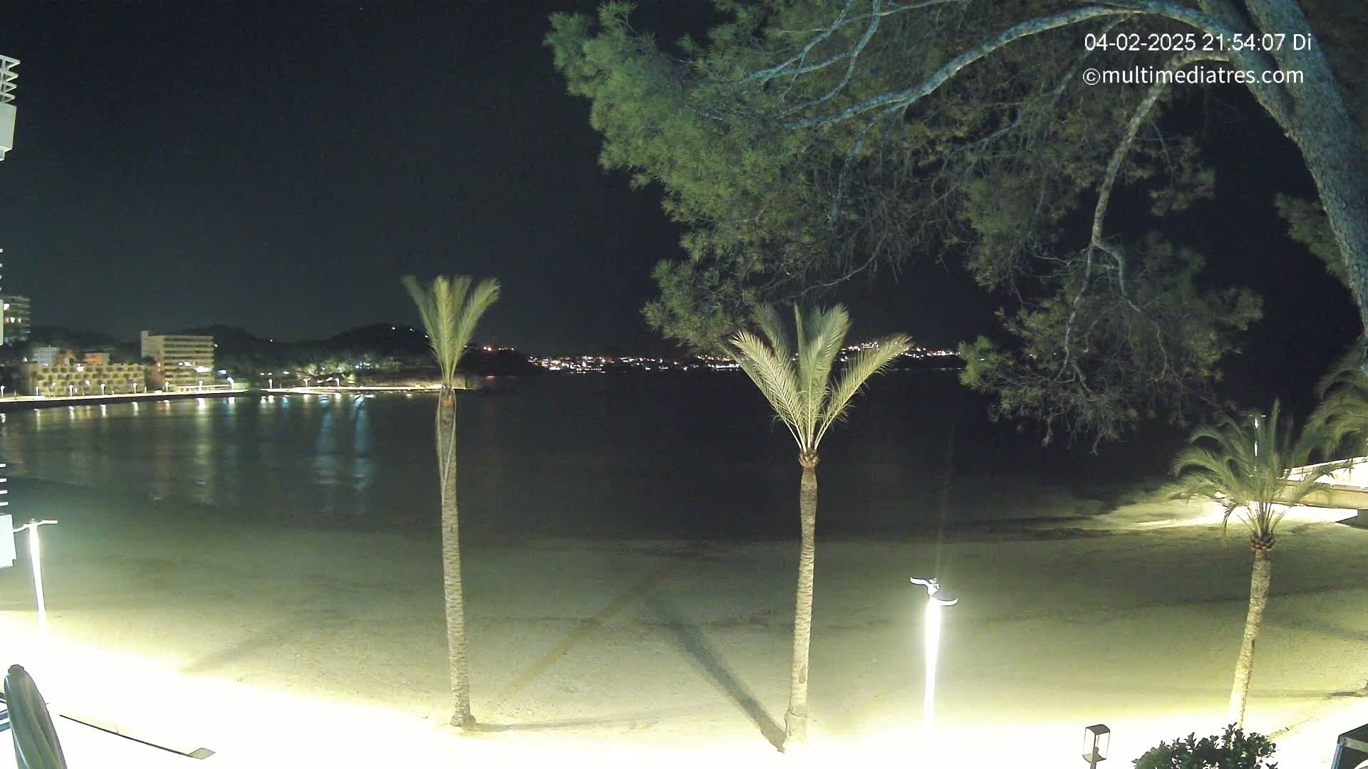 A nighttime view of a calm bay with a sandy beach and palm trees, illuminated by lights from buildings across the water.