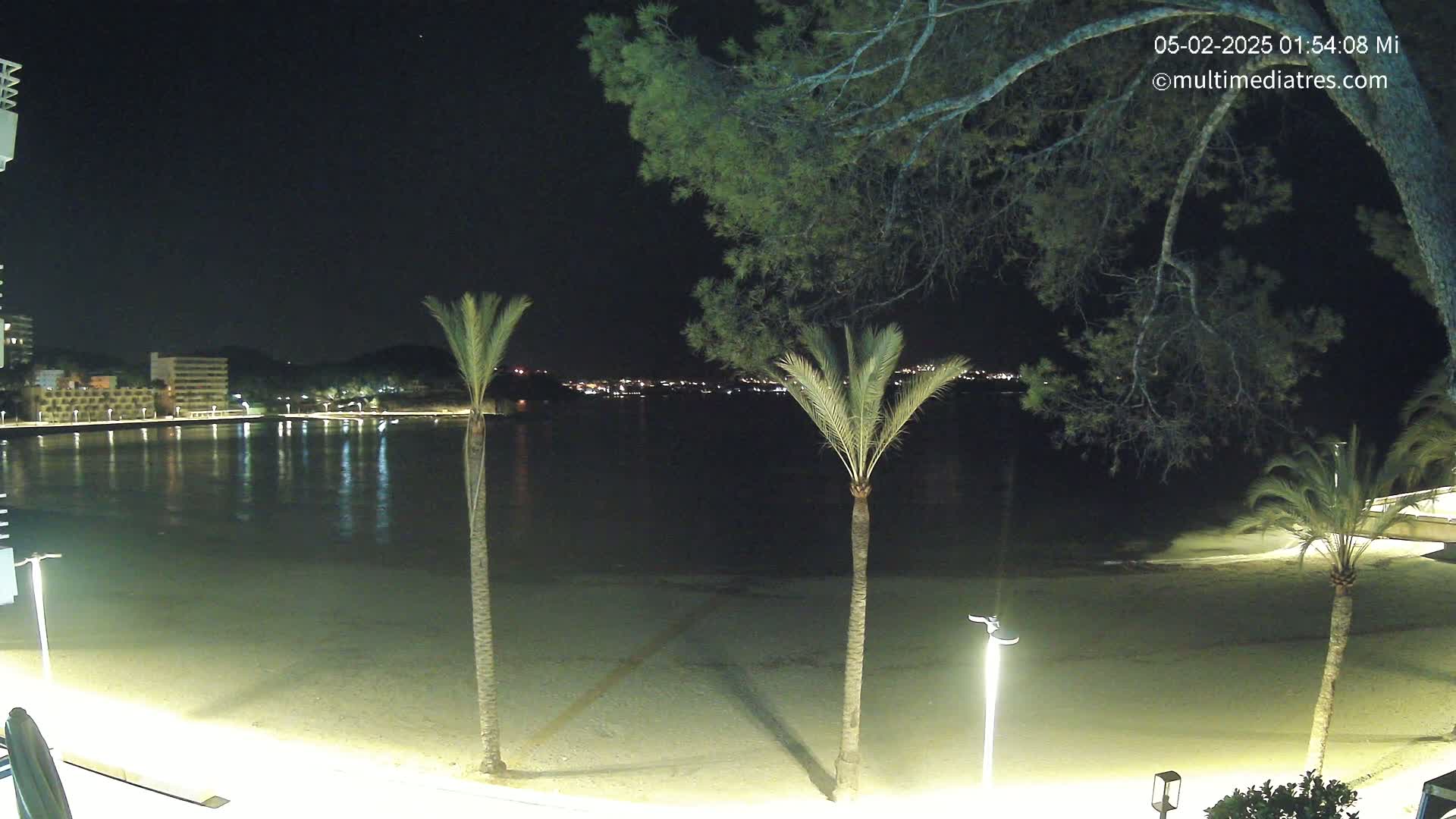 A nighttime view of a calm, sandy beach with palm trees and illuminated buildings across a body of water under a clear, dark sky.