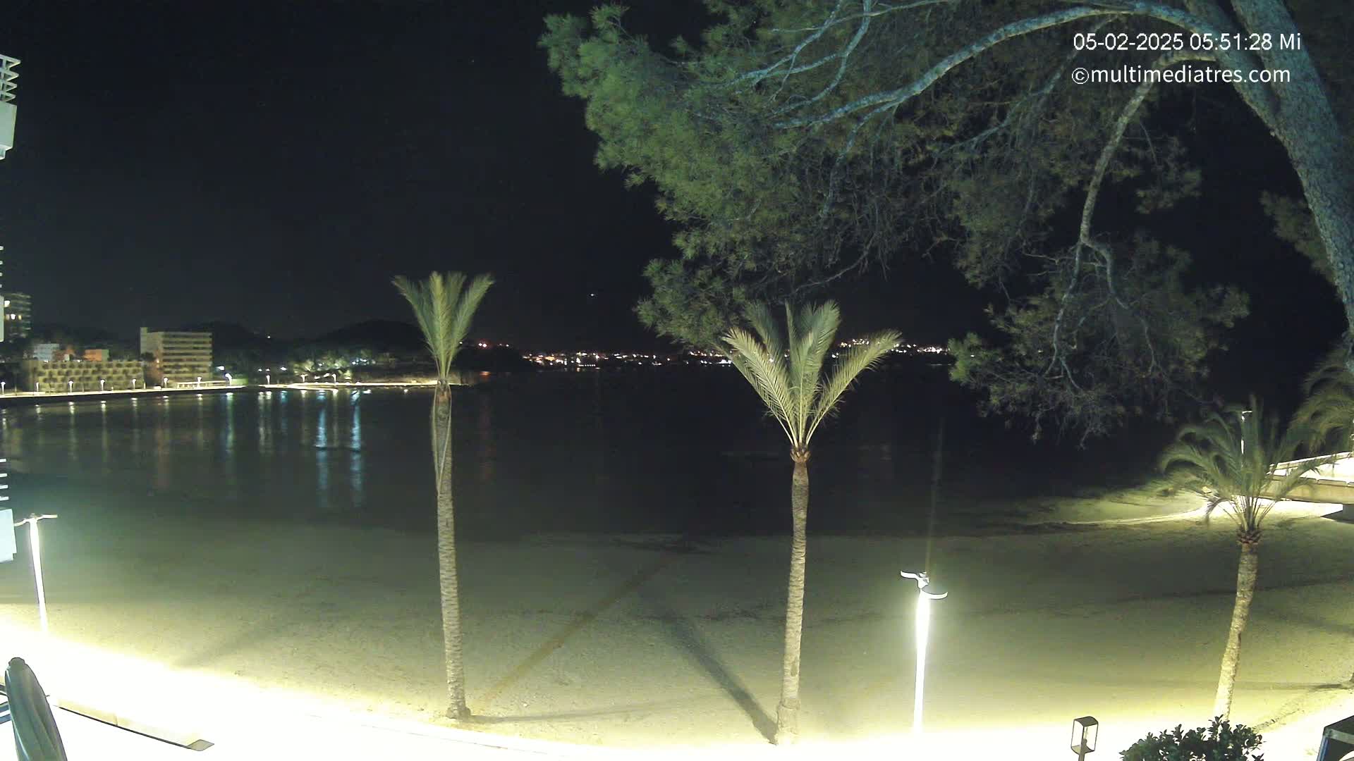 A nighttime view of a calm beach with palm trees and illuminated buildings across the water under a clear, dark sky.