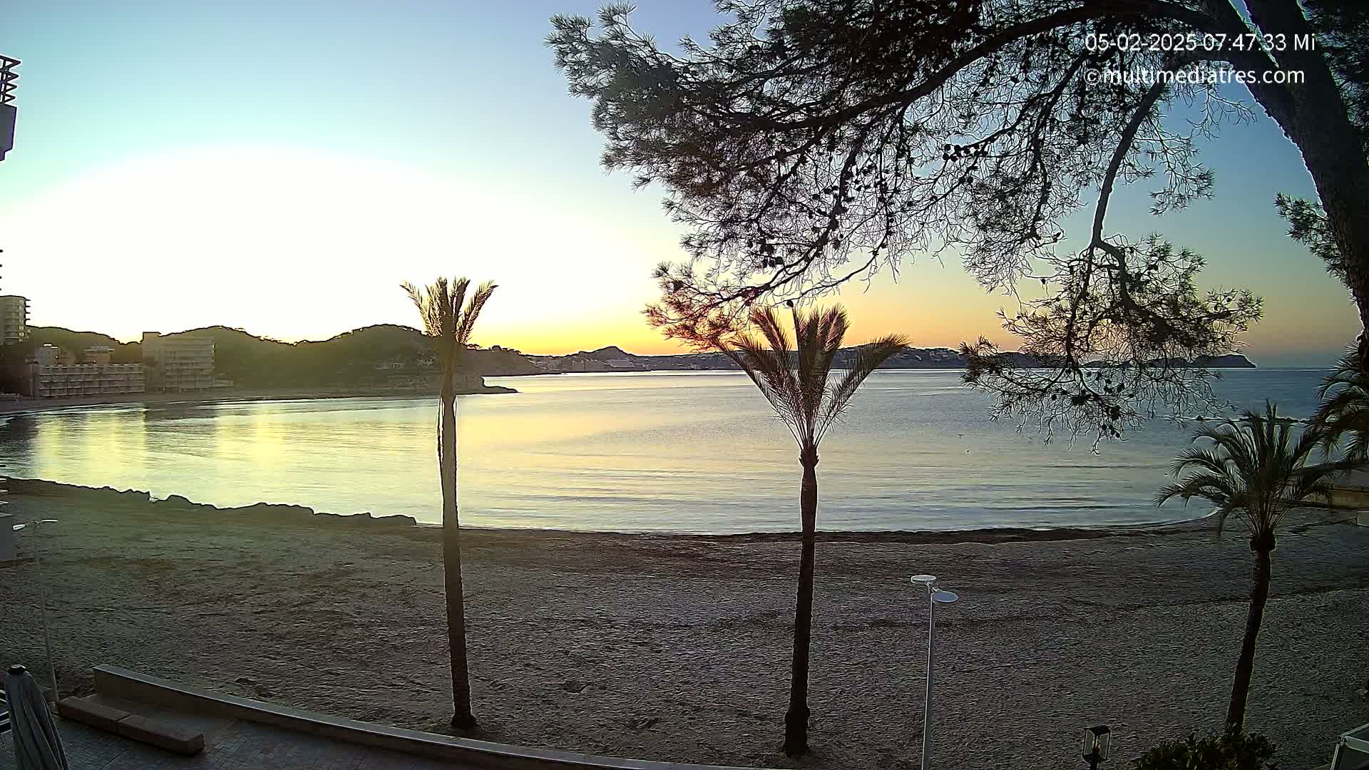 A sandy beach at sunrise, with calm water, palm trees, and buildings in the background under a clear sky.