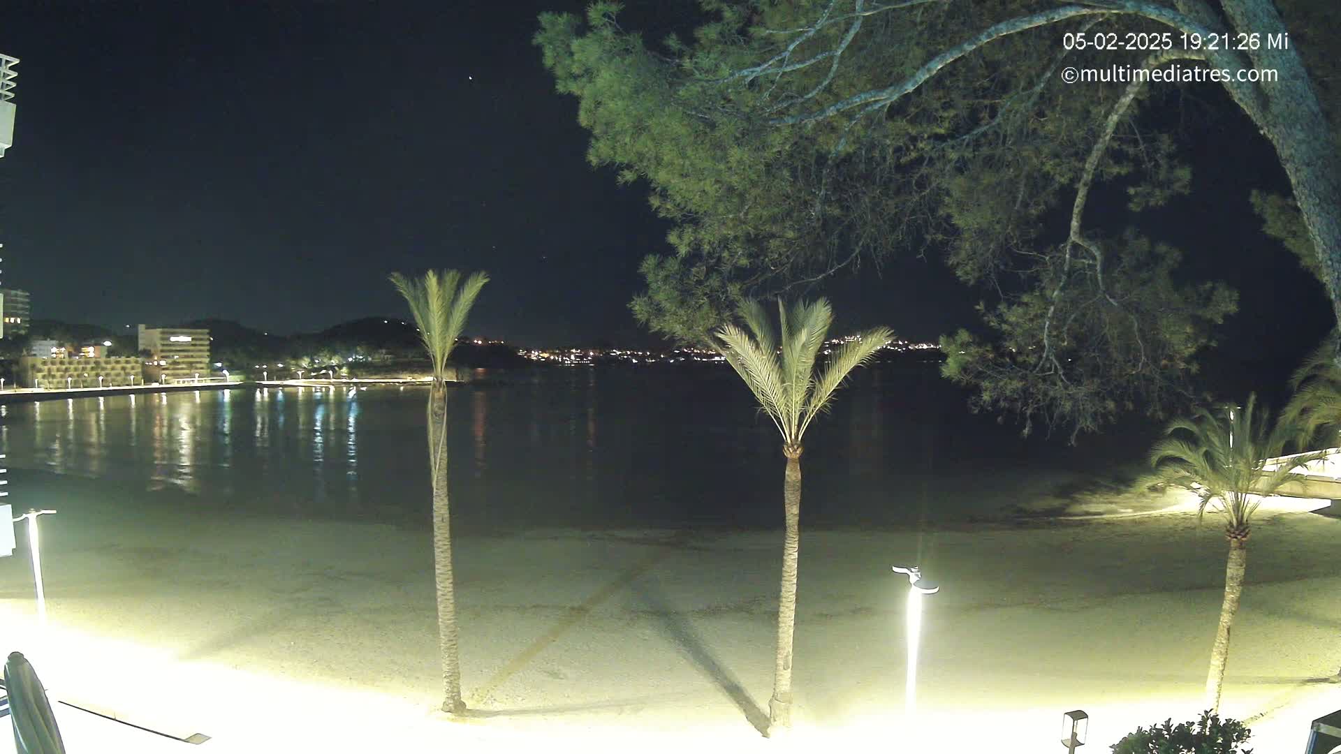 A nighttime view of a calm beach with palm trees, illuminated buildings across the water, and a dark sky.