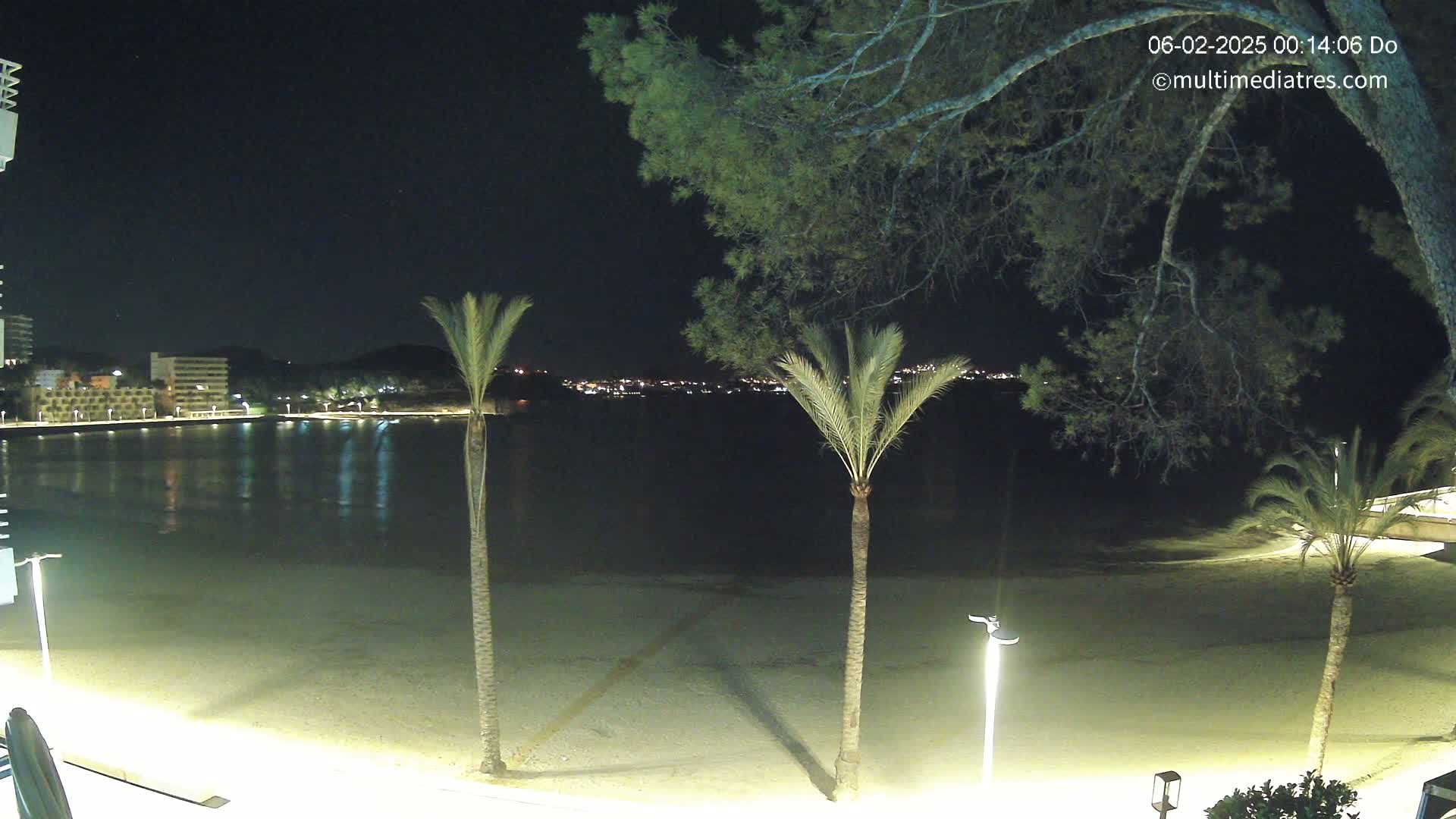A nighttime view of a calm beach with palm trees, illuminated buildings across the water, and a dark sky.