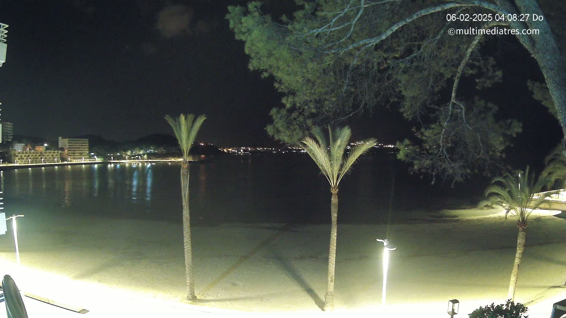 A nighttime view of a sandy beach, calm water, and palm trees, with a distant city skyline illuminated across the water.