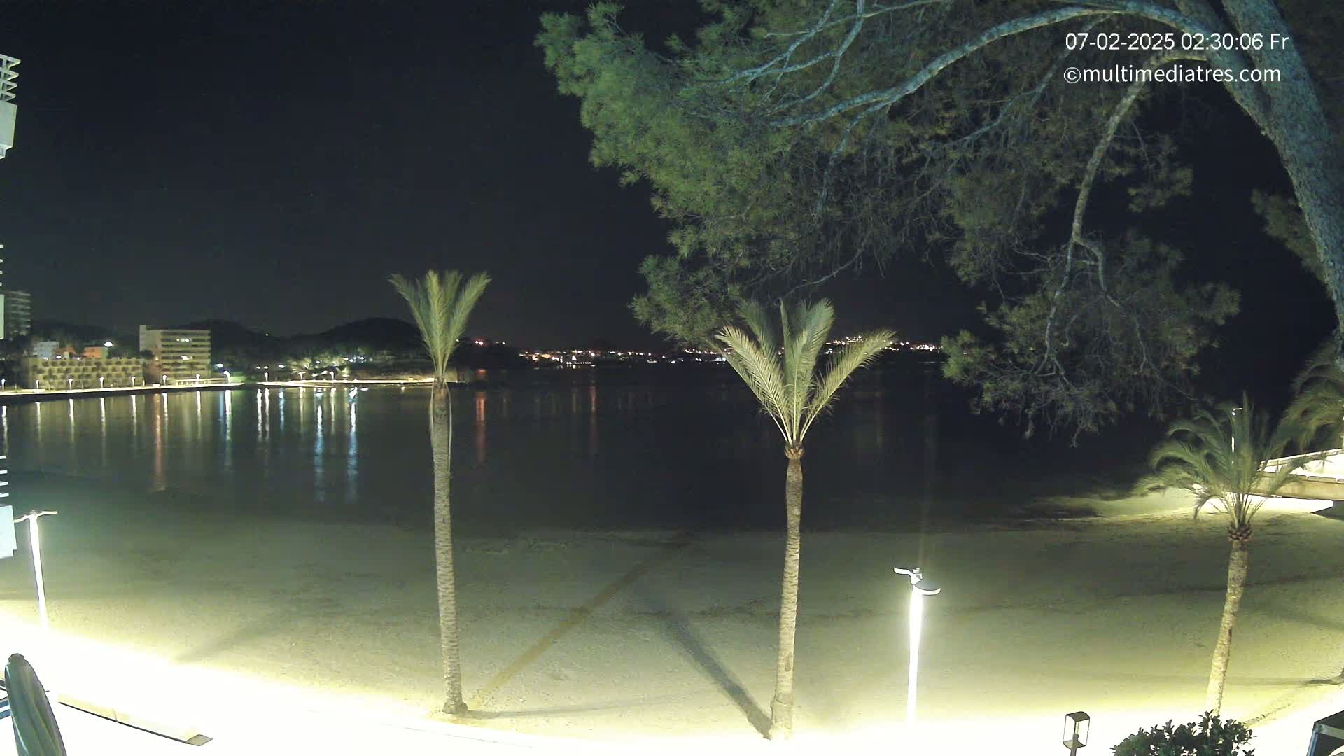 A nighttime view of a calm beach with palm trees and a town illuminated across a body of water.