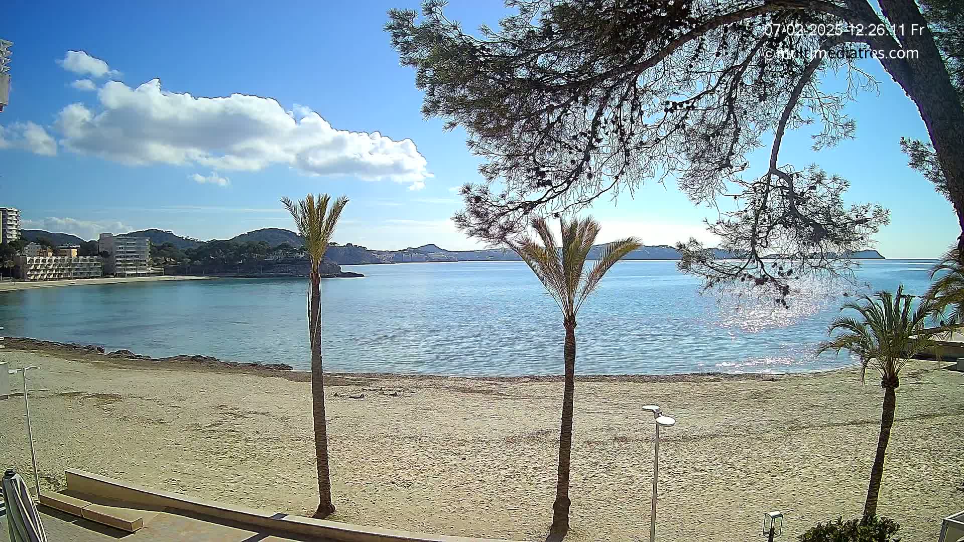 A sandy beach with palm trees and calm, blue water stretches before a backdrop of low hills and buildings under a mostly sunny sky with a few clouds.
