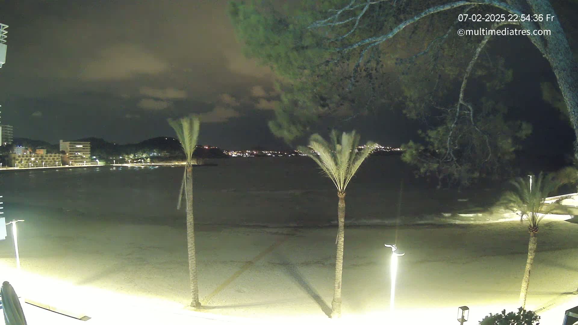 A nighttime beach scene shows a calm, dark body of water with a dimly lit cityscape across it, palm trees in the foreground, and a partially cloudy sky.