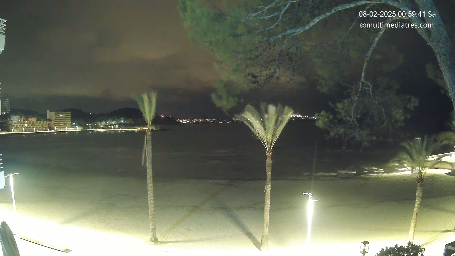 A nighttime view of a sandy beach with calm waves, palm trees, and distant city lights under a partly cloudy sky.