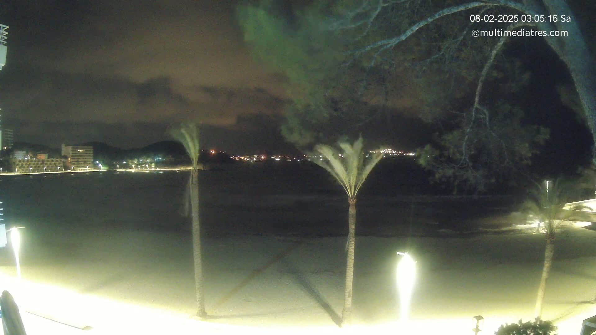 A nighttime view of a beach with palm trees, illuminated buildings across the water, and a partly cloudy sky.