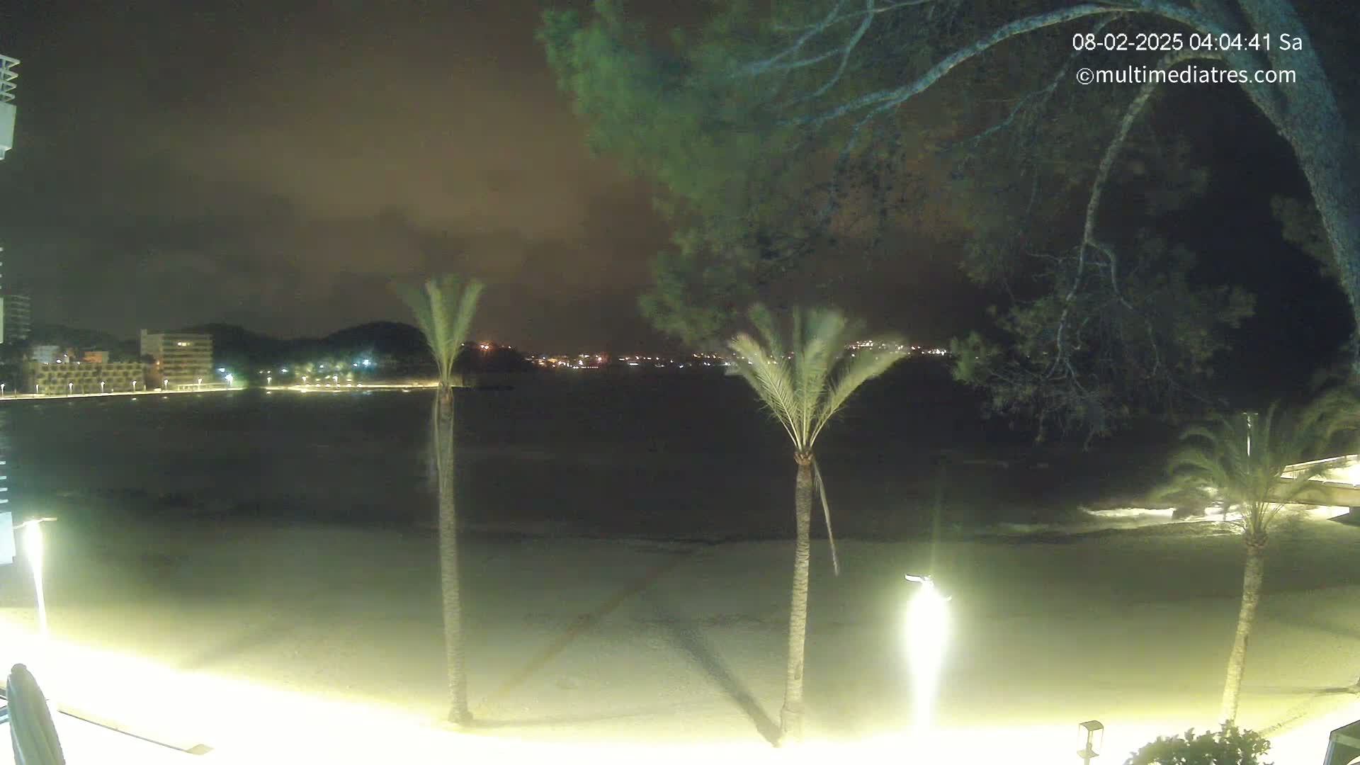 A nighttime view of a beach with palm trees, dimly lit buildings across the water, and a partly cloudy sky.