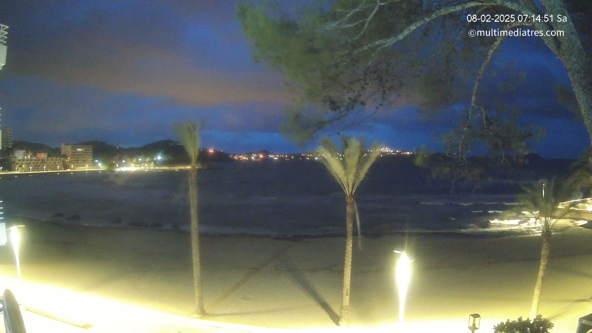 A nighttime beach scene with gentle waves, palm trees, and distant city lights under a partly cloudy sky.