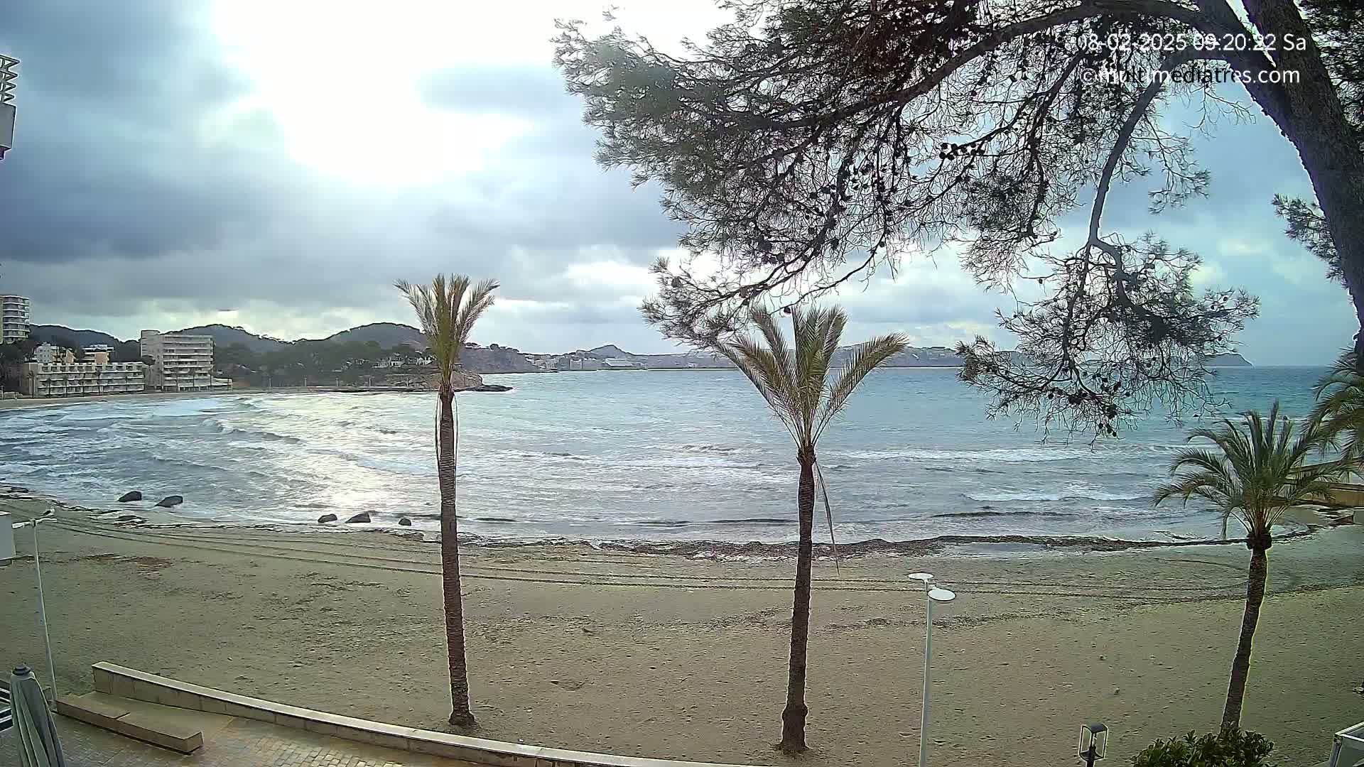 A sandy beach with several palm trees and a partly cloudy sky overlooks a wavy ocean with buildings visible in the distance.