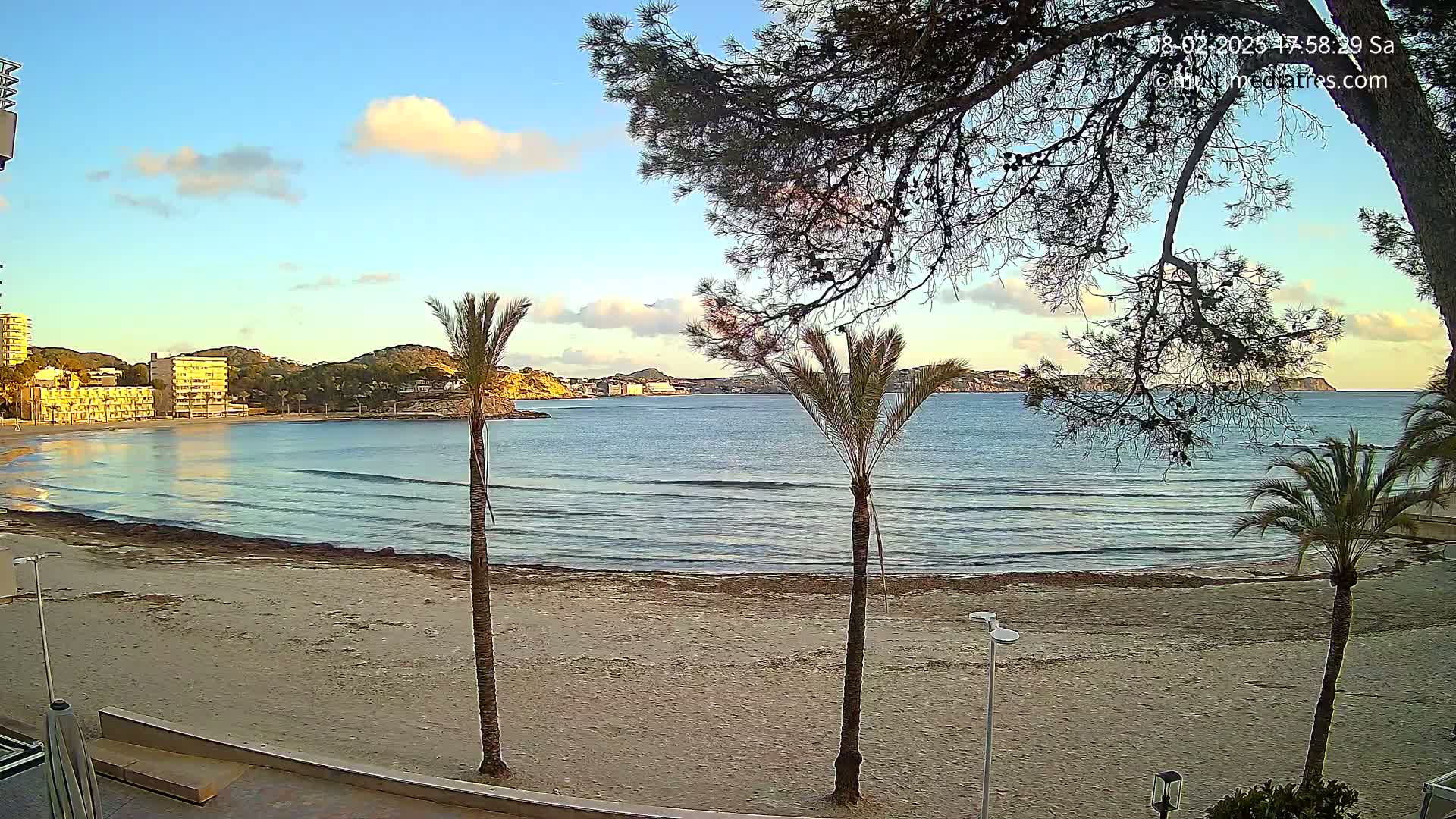 A sandy beach with calm waves and several palm trees is seen under a partly cloudy sky, with buildings and hills visible in the distance.