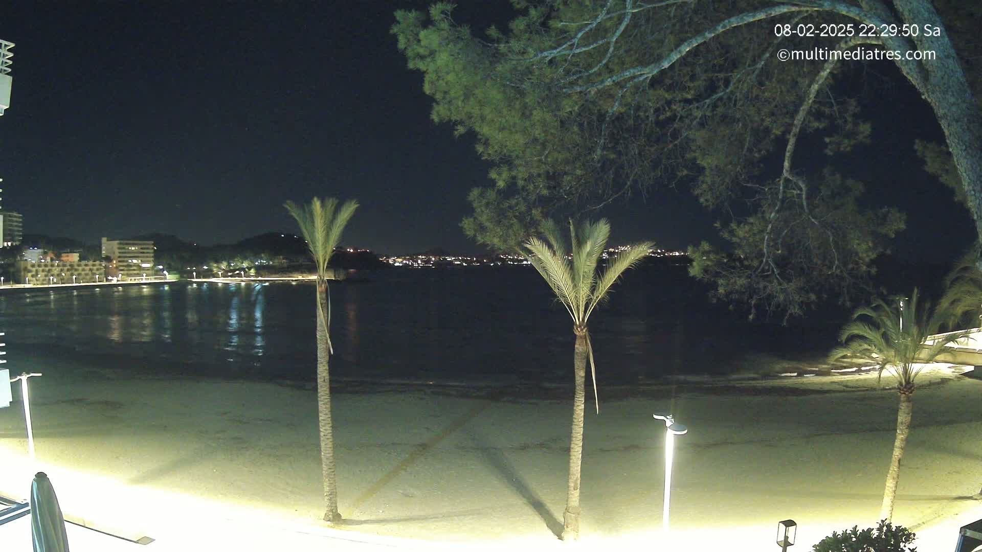 A nighttime beach scene shows a calm body of water reflecting city lights, with palm trees and a few buildings visible in the background under a clear, dark sky.