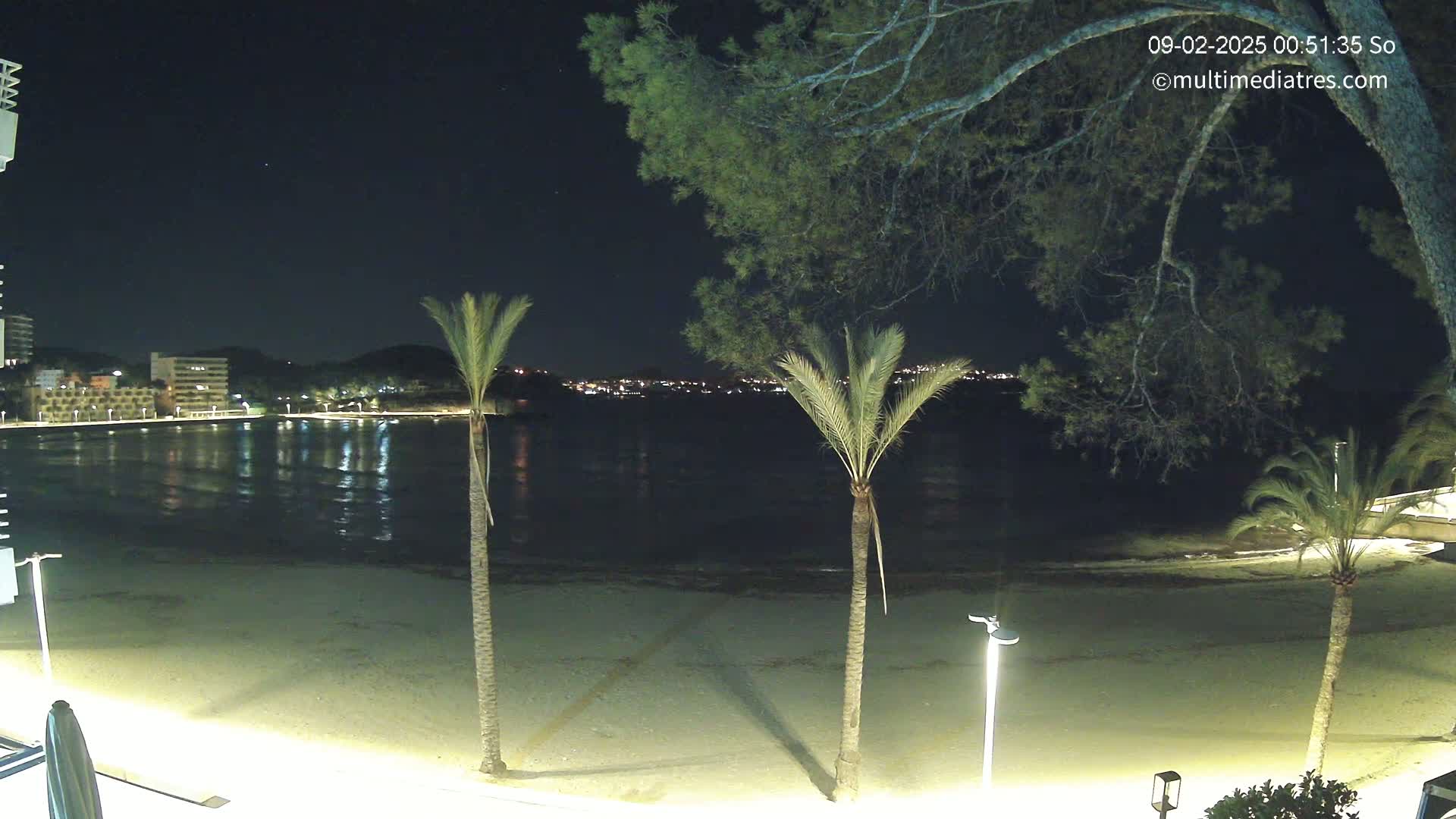 A nighttime view of a sandy beach, calm water, palm trees, and a distant city skyline under a clear sky.