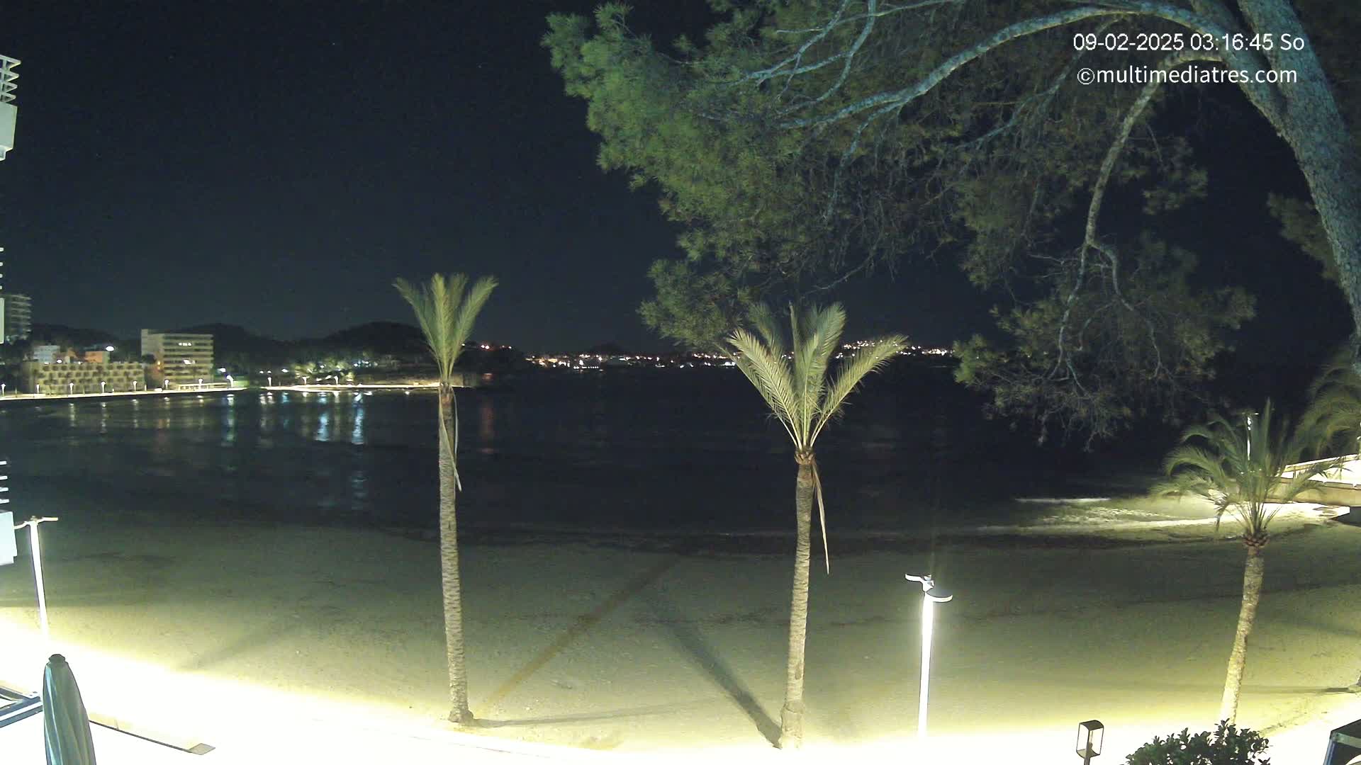 A nighttime view of a calm, dark-colored body of water next to a sandy beach lined with palm trees and illuminated by artificial lights, with buildings visible in the distance.