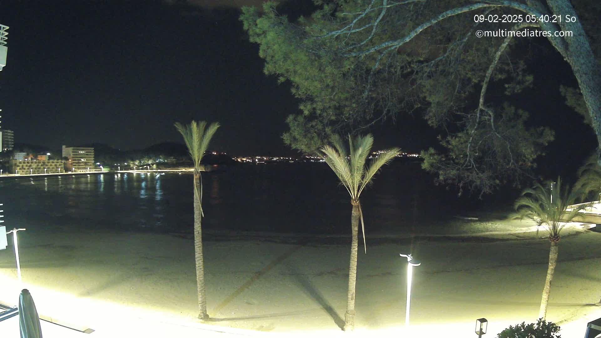 A nighttime view of a sandy beach, palm trees, and calm water with a town's lights visible in the distance under a clear, dark sky.