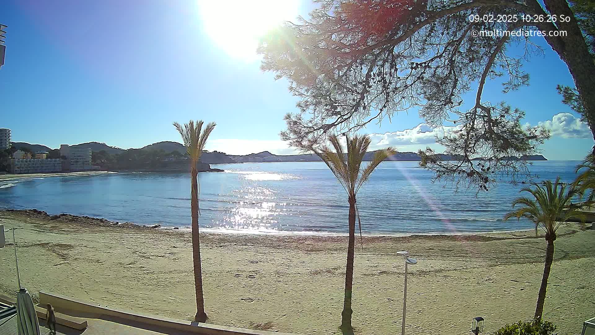A sunny day on a sandy beach, with calm, sparkling water, palm trees, and buildings in the background.
