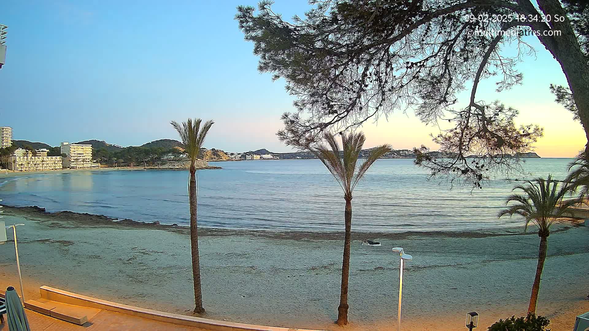 A sandy beach with calm, dark-blue water, palm trees, and buildings in the background under a clear, light-blue sky at sunset.