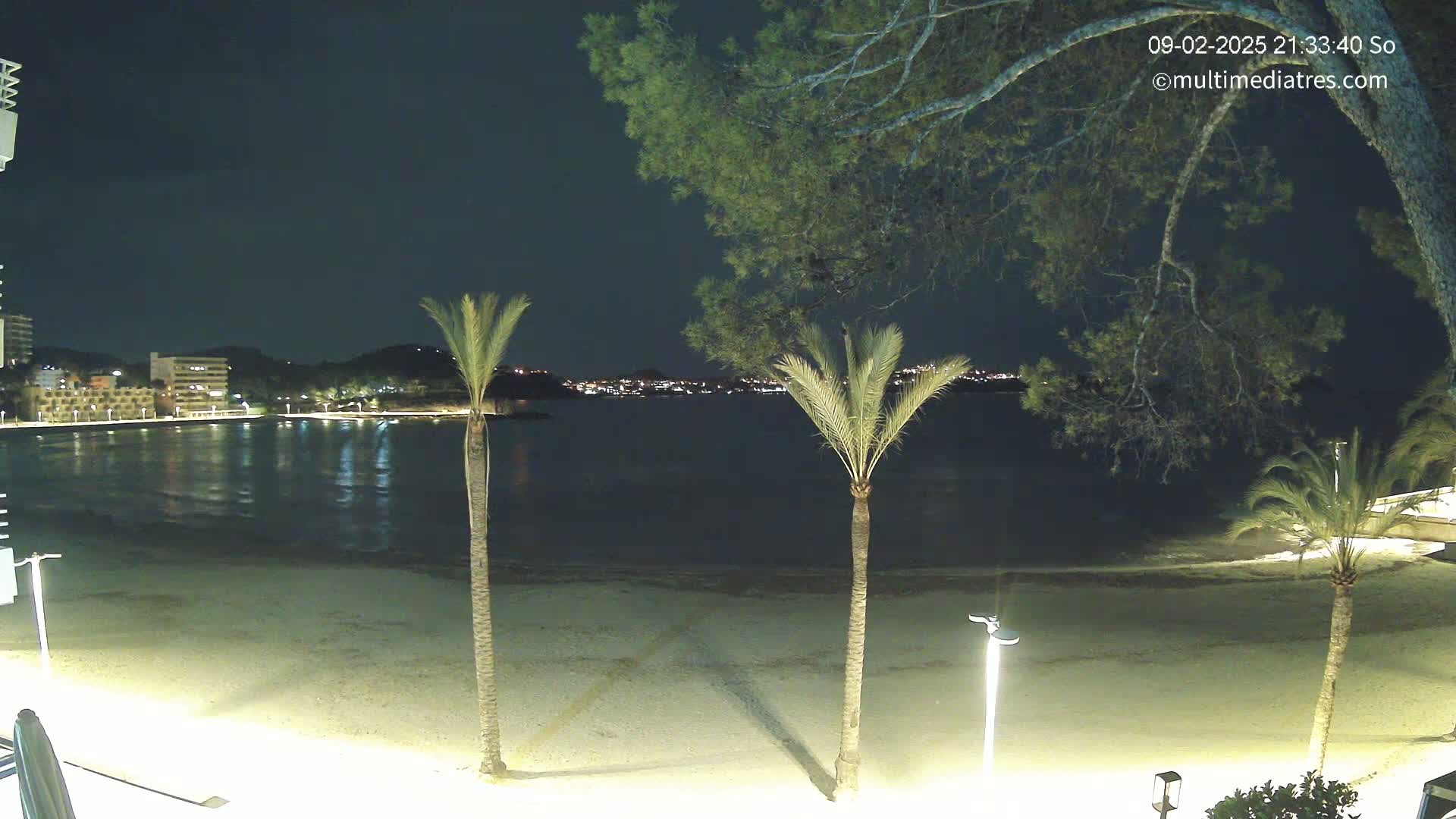 A nighttime view of a sandy beach, calm water, palm trees, and buildings illuminated across a bay under a clear, dark sky.