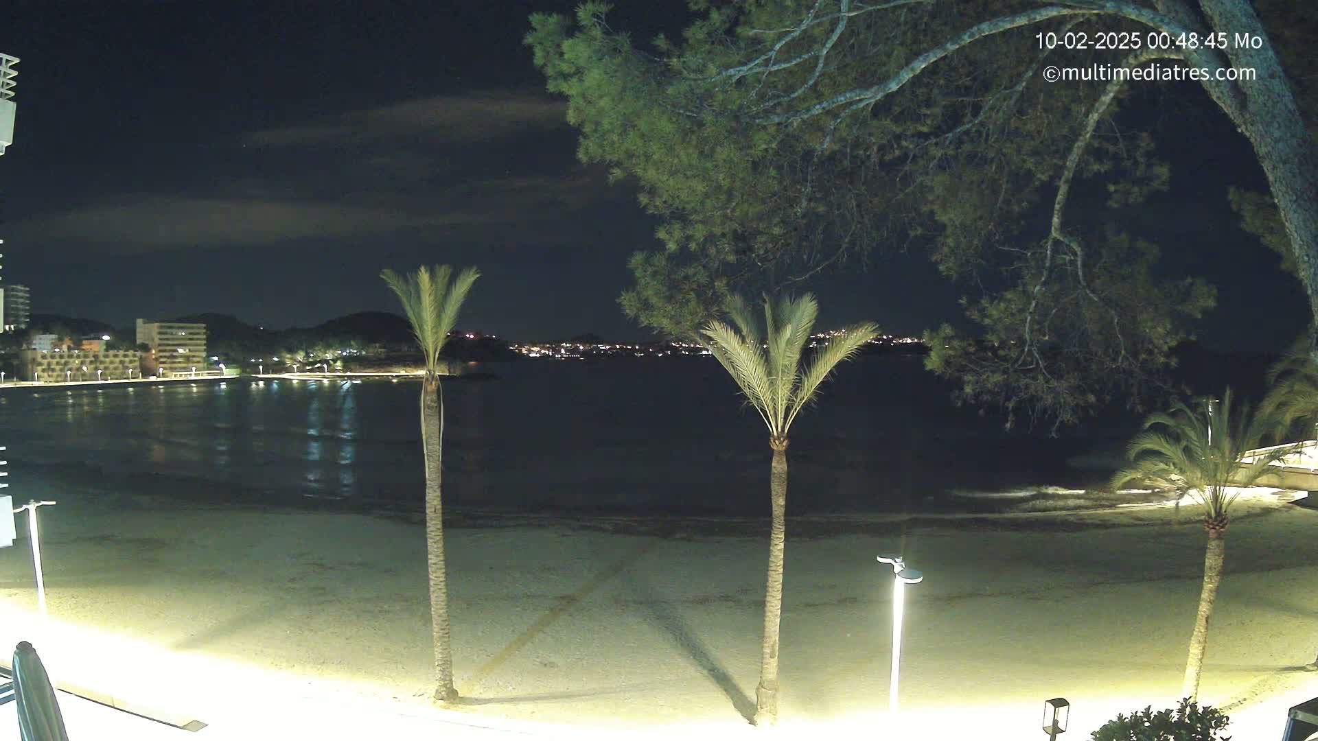 A nighttime view of a sandy beach, palm trees, and calm ocean water with a town's lights visible in the distance under a partly cloudy sky.