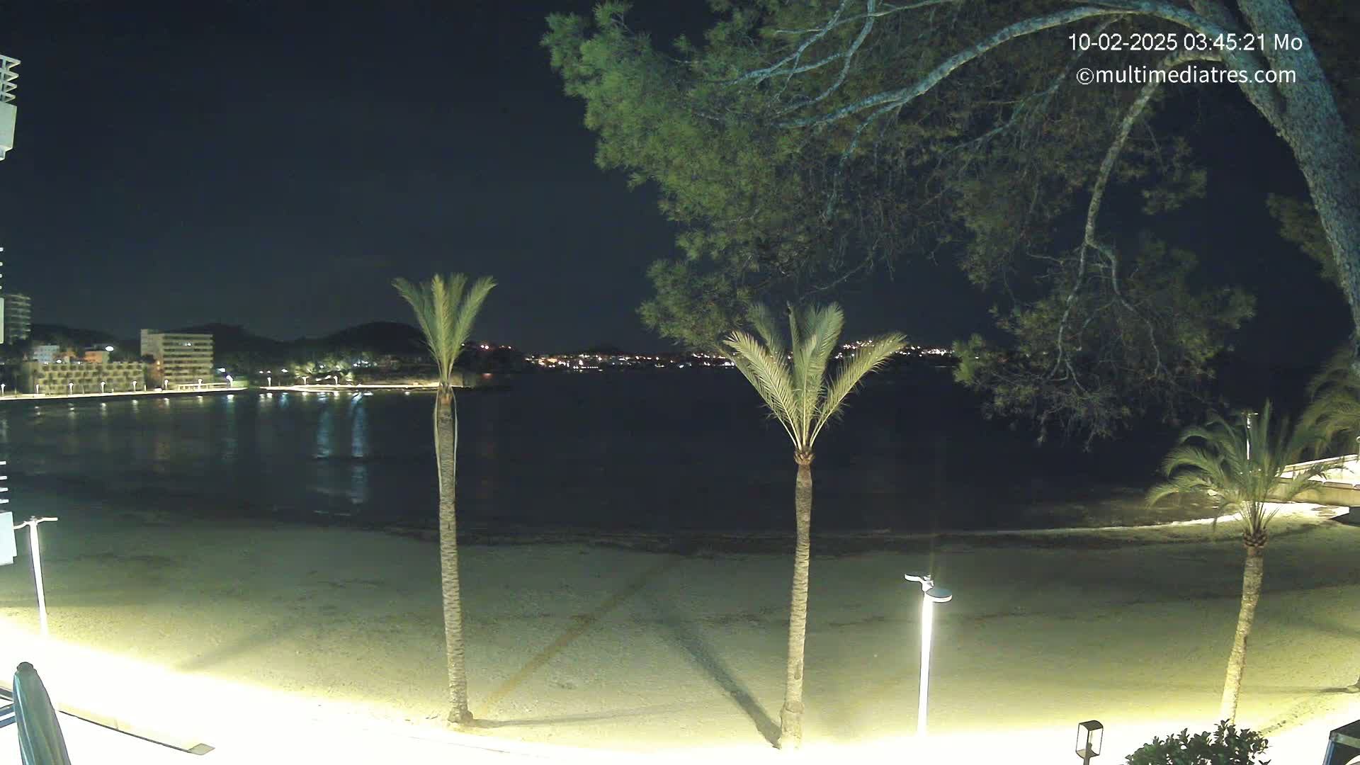A nighttime beach scene shows a sandy beach, palm trees, calm water reflecting lights from buildings across the bay under a clear, dark sky.