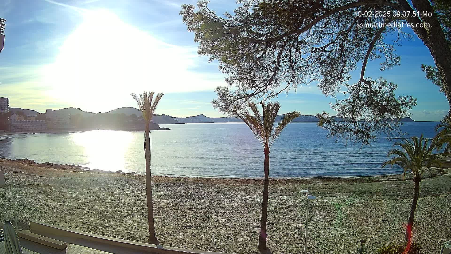 A sandy beach with palm trees and a calm, sunlit ocean stretches out before a backdrop of low hills and buildings under a mostly clear sky.