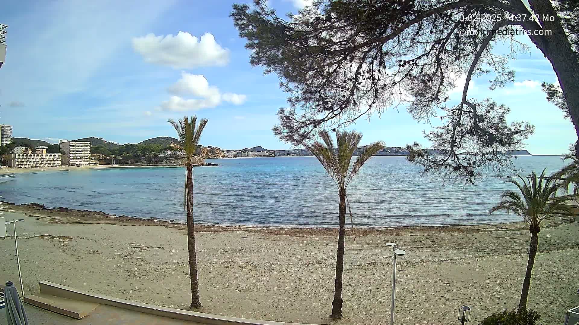 A sandy beach with calm, blue water stretches to a distant coastline under a partly cloudy sky, framed by palm trees and pine branches.