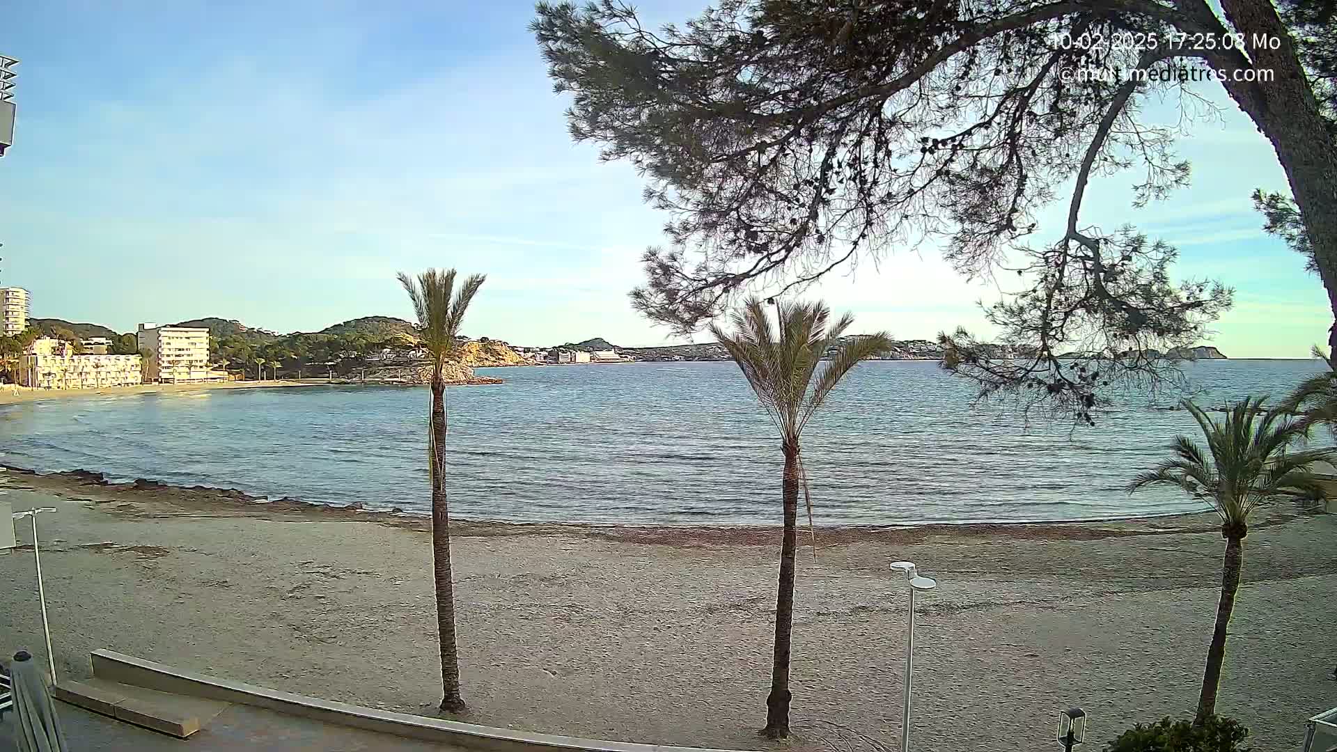 A sandy beach with calm water and buildings in the background is partially obscured by overhanging tree branches under a clear sky.