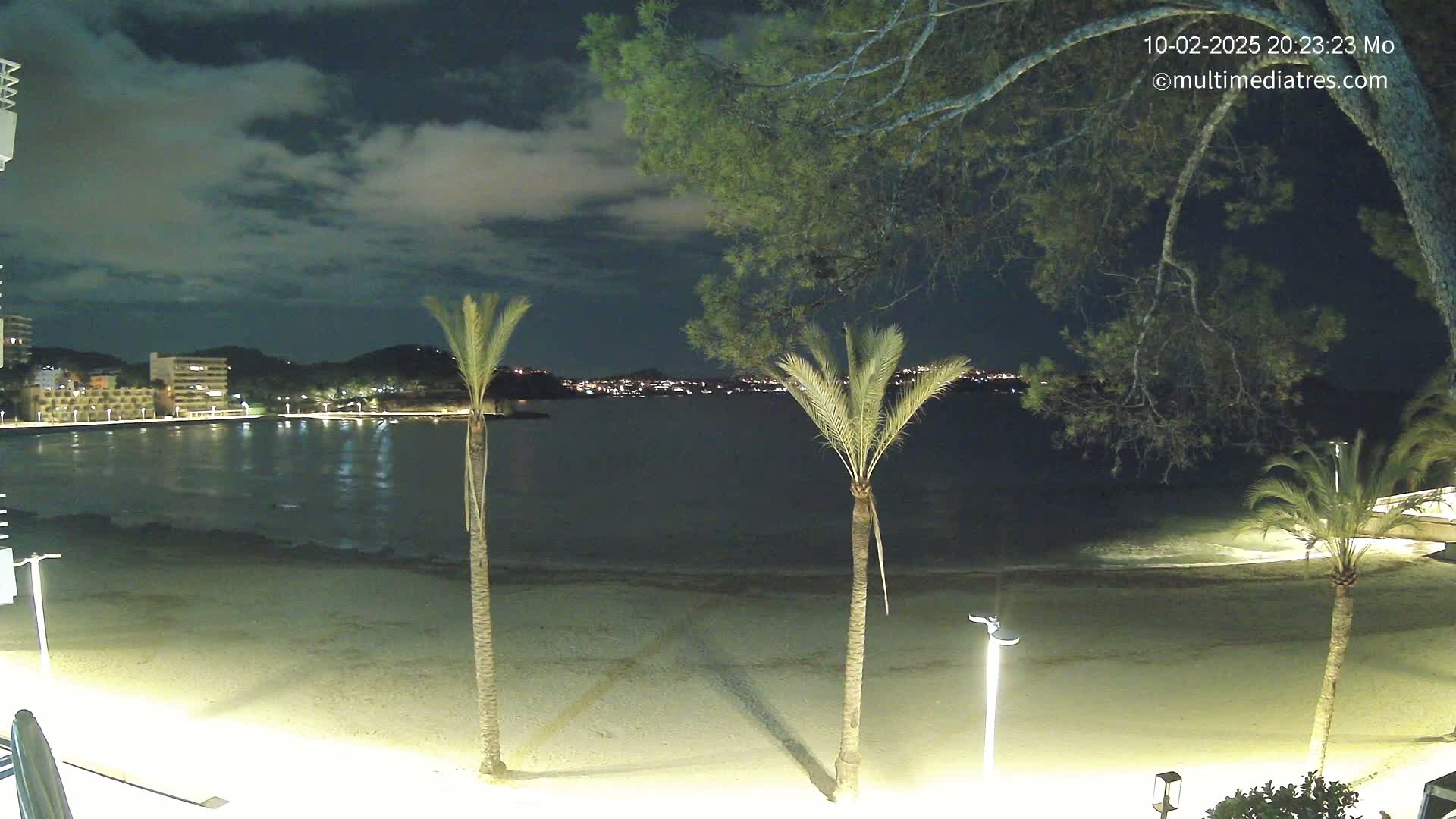 A nighttime view of a sandy beach with palm trees, a calm body of water, and a distant town illuminated with lights under a partly cloudy sky.