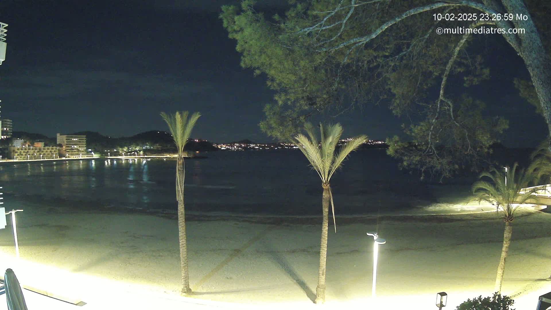 A nighttime view of a calm beach with palm trees, illuminated buildings across the water, and a dark sky.
