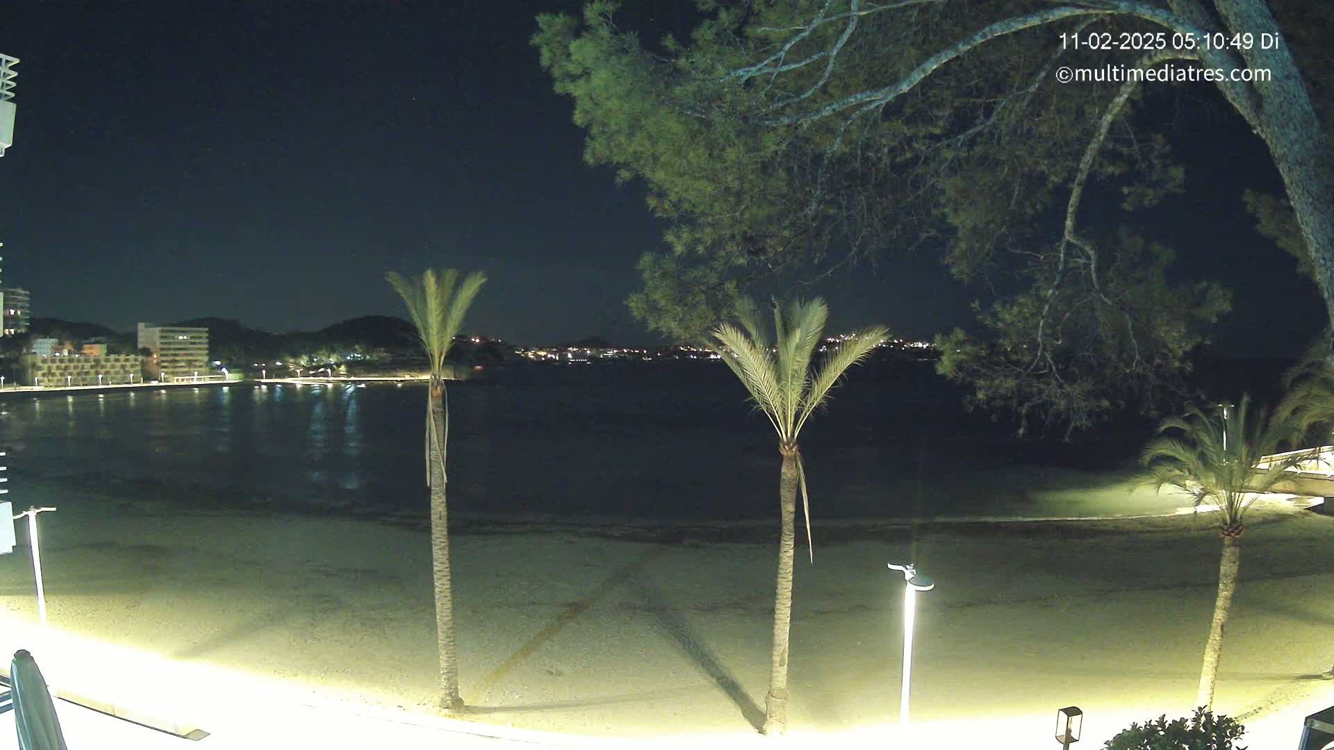 A nighttime view of a sandy beach, illuminated by streetlights, with palm trees and a calm body of water reflecting the lights of buildings across the bay under a clear sky.